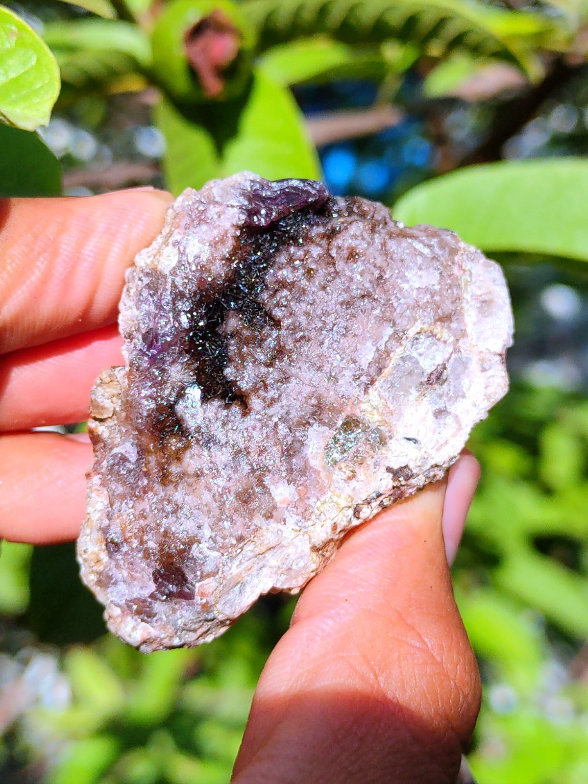 Rainbow 🌈 Rutiles with Karur Amethyst. Natural Mineral specimen Crystal