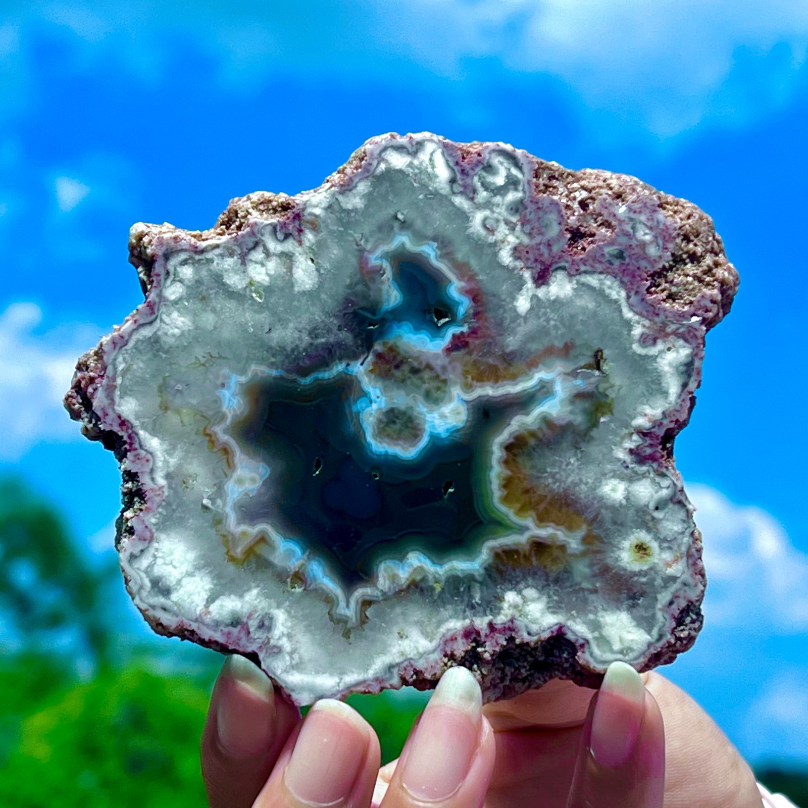 182G Natural Colorful Lace Agate Geode Slice Extra Large Gem From Argentina