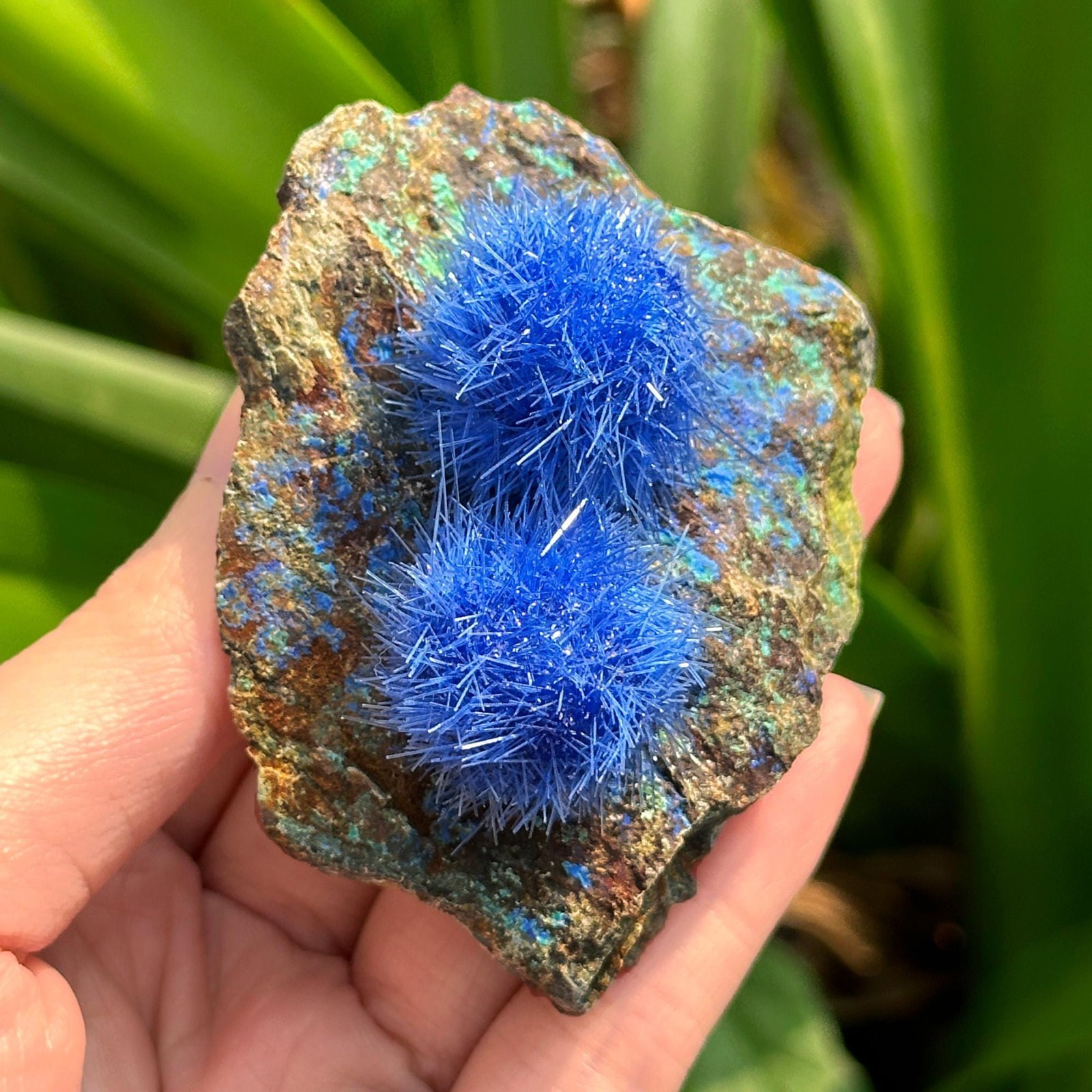 Rare Dandelion Zeolite Quartz Crystal Cluster 90-120g Mineral Rock Free Ship US