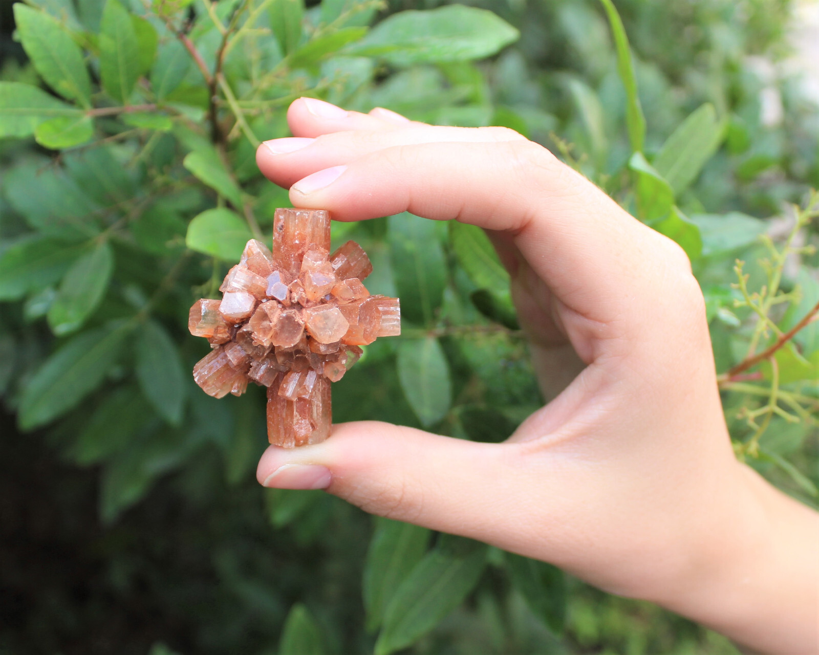 Mini Aragonite Cluster Box: 6 – 8 Pieces (Natural Aragonite Star Cluster)