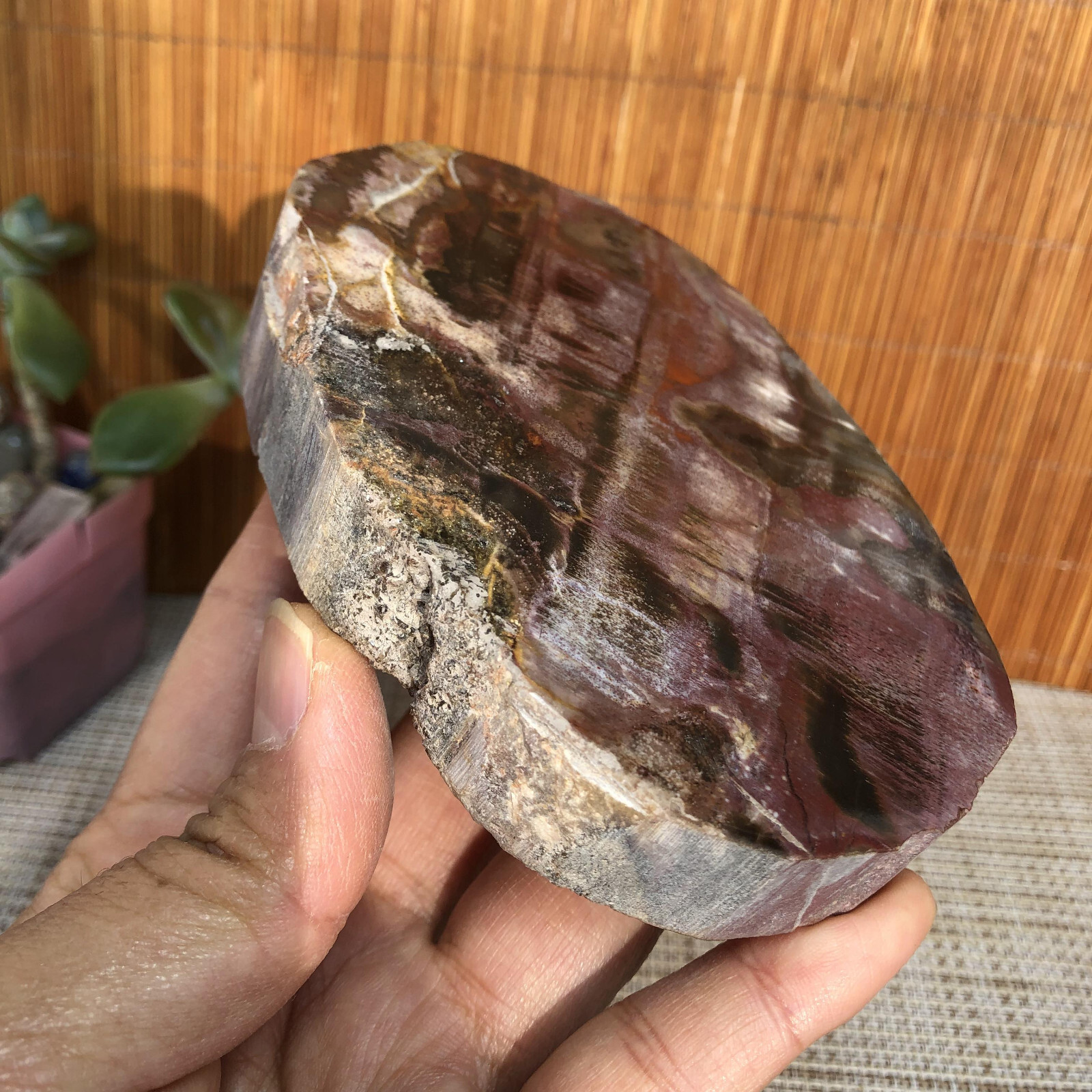 109mm natural Beautiful Petrified Wood Crystal Slice mineral specimen 341g A4860