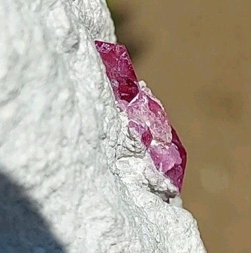 ULTRA GEM FACET GRADE SECTIONS LARGE RED BERYL / BIXBITE ON MATRIX UTAH, USA