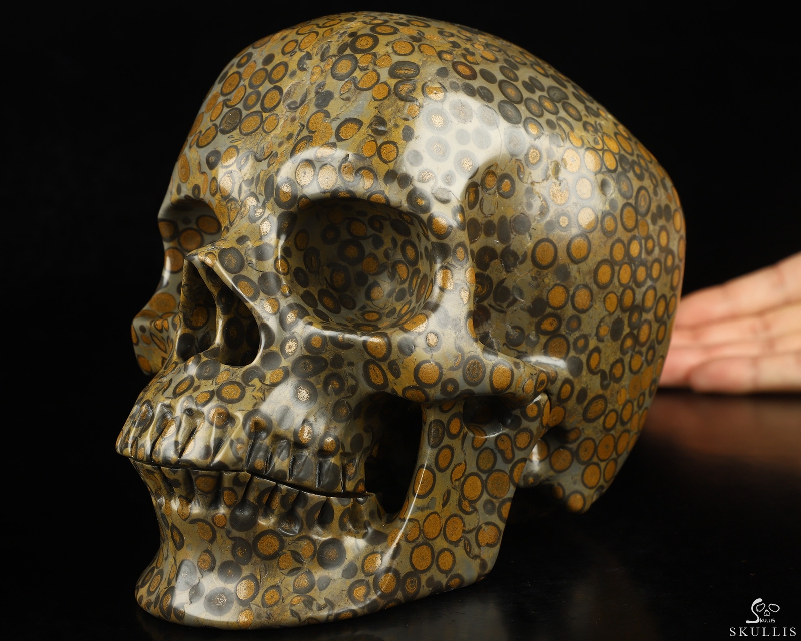 Lifesized 7.0″ Chinese Leopard Skin Jasper Hand Carved Crystal Skull, Realistic
