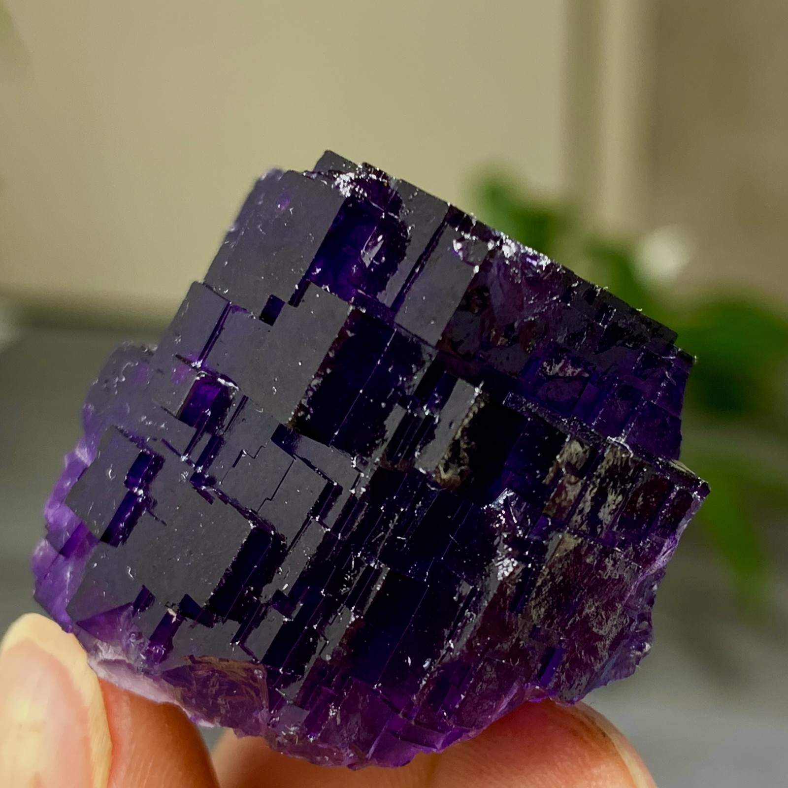 40G Natural purple framed cubic fluorite mineral specimen/Inner Mongolia