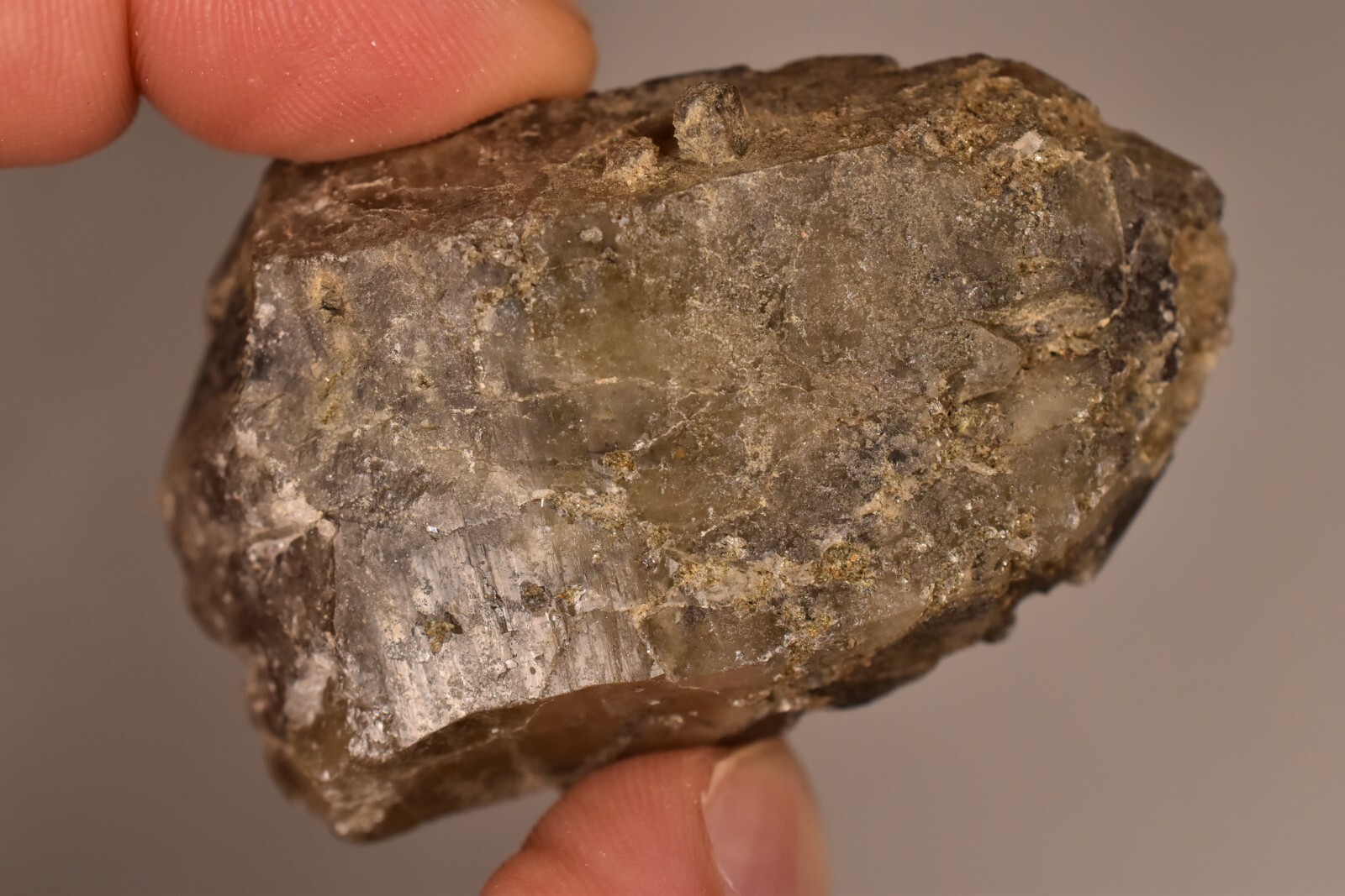 *AUSTRALIAN* Smokey Quartz 6.1cm 73.3g Tourmaline & Cassiterite Inclusions