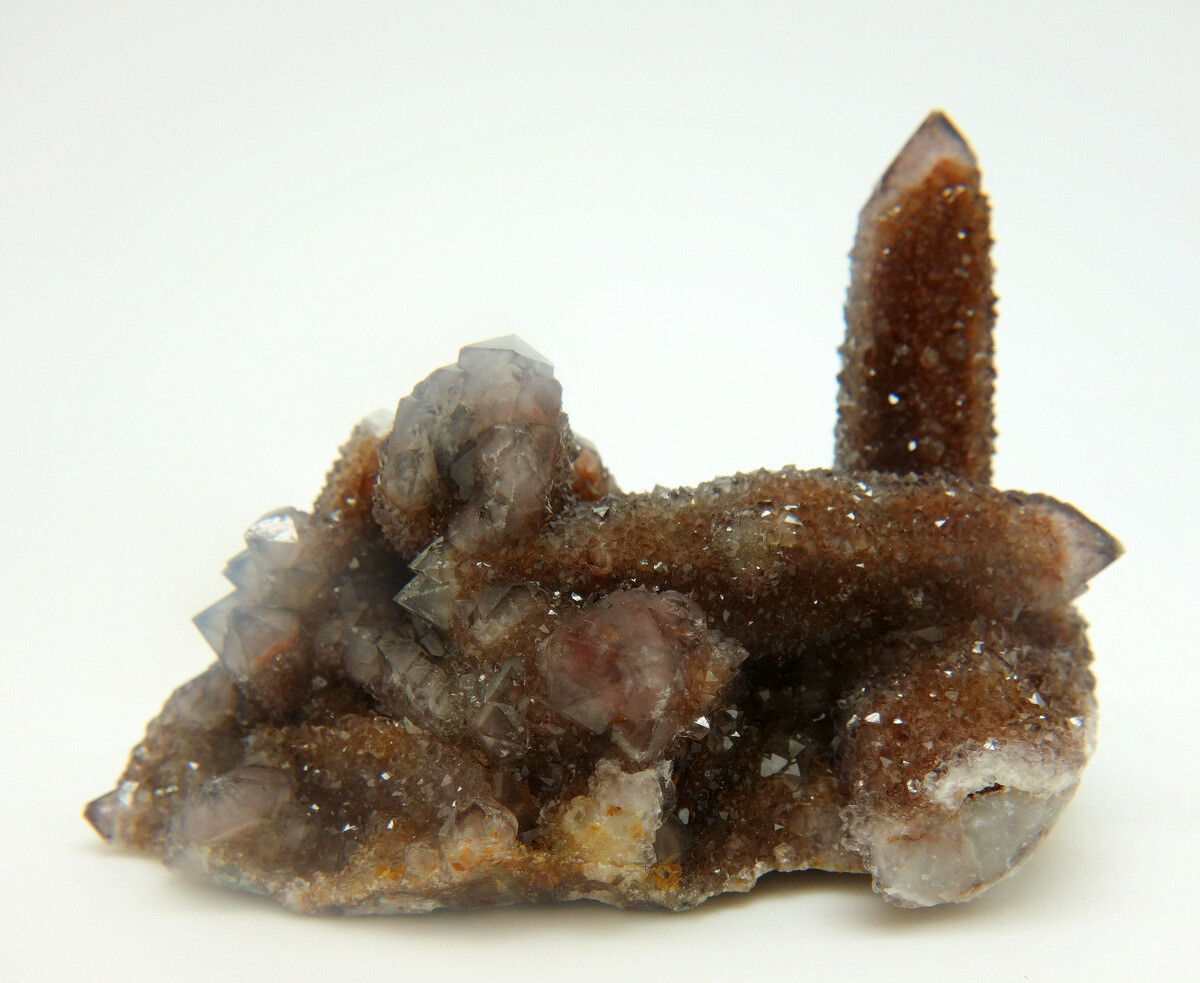 Dark Amethyst Spirit Cactus Quartz Crystal Cluster ~ South Africa