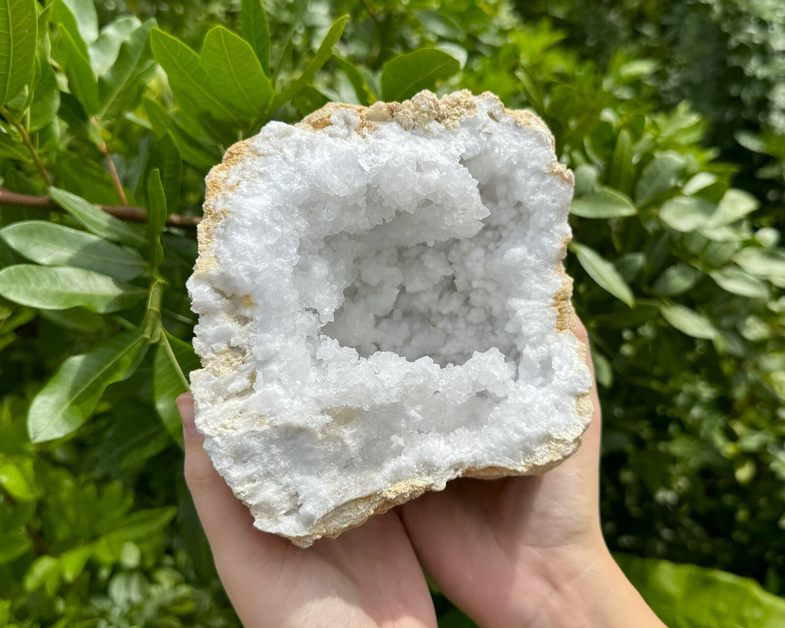 MASSIVE Sugar Quartz Geodes – Natural Crystal Geode Specimens From Morocco