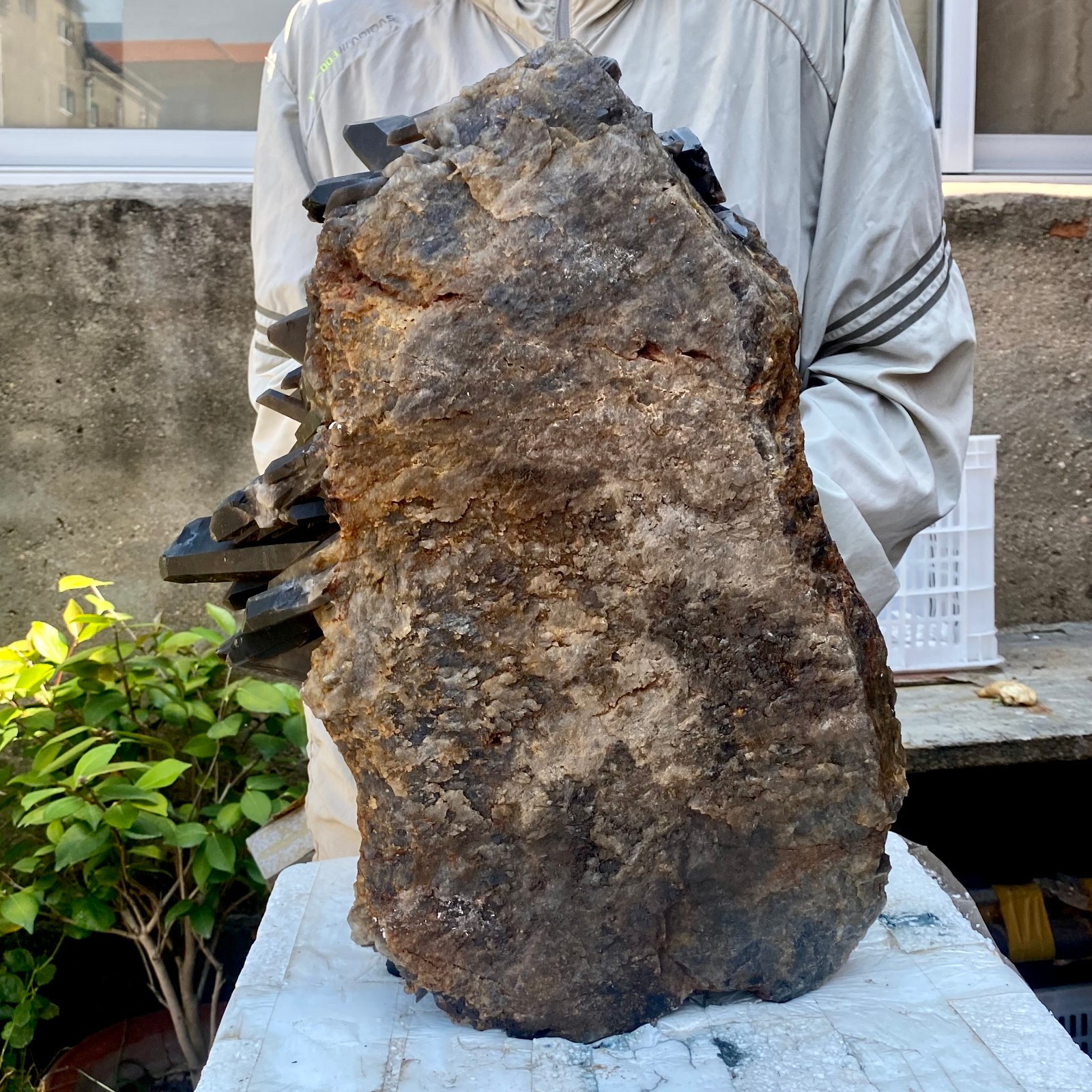 57LB Tea black Crystal quartz Cluster Mineral Specimen Healing reiki