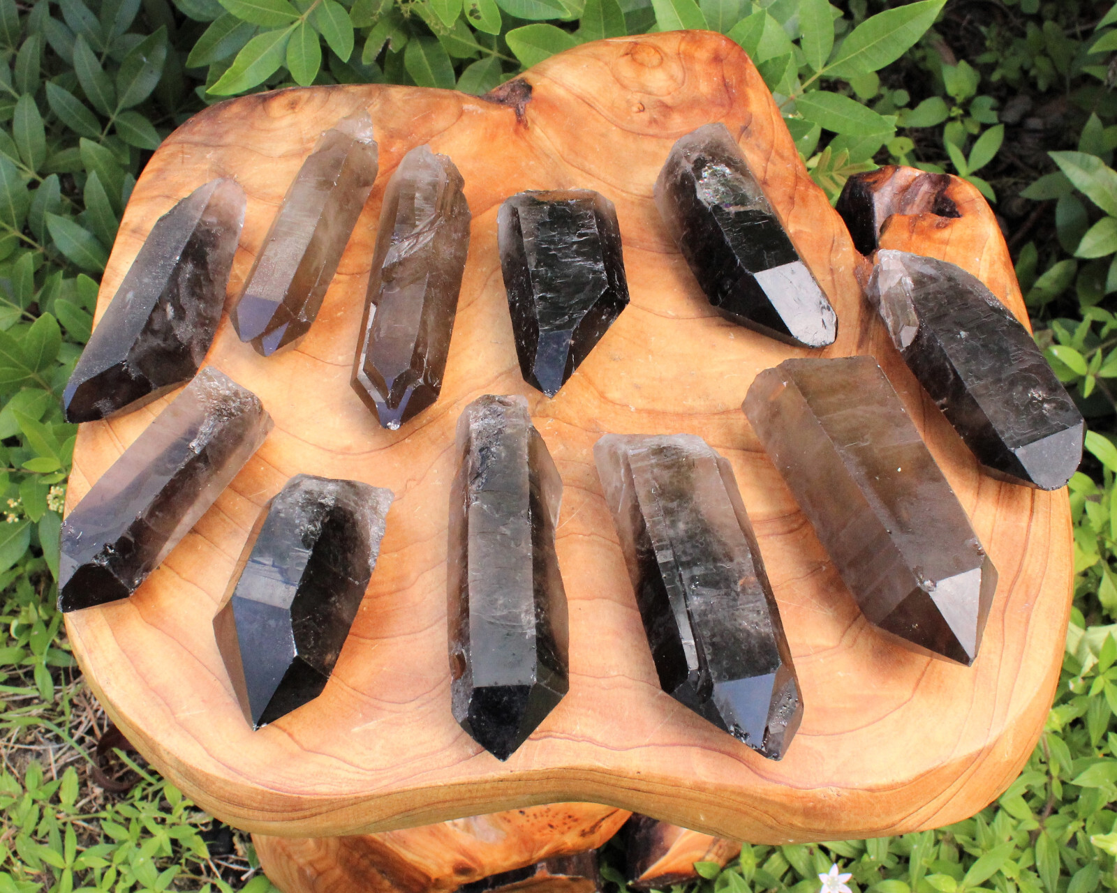 Smoky Quartz Points, LARGE ‘AAA’ Grade Smoky Quartz Crystal Point: Choose Size
