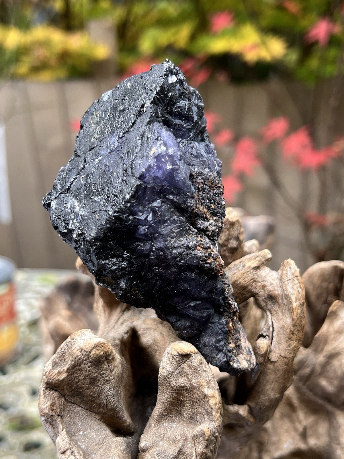 Blue John Fluorite Mineral Specimen United Kingdom 342g 8