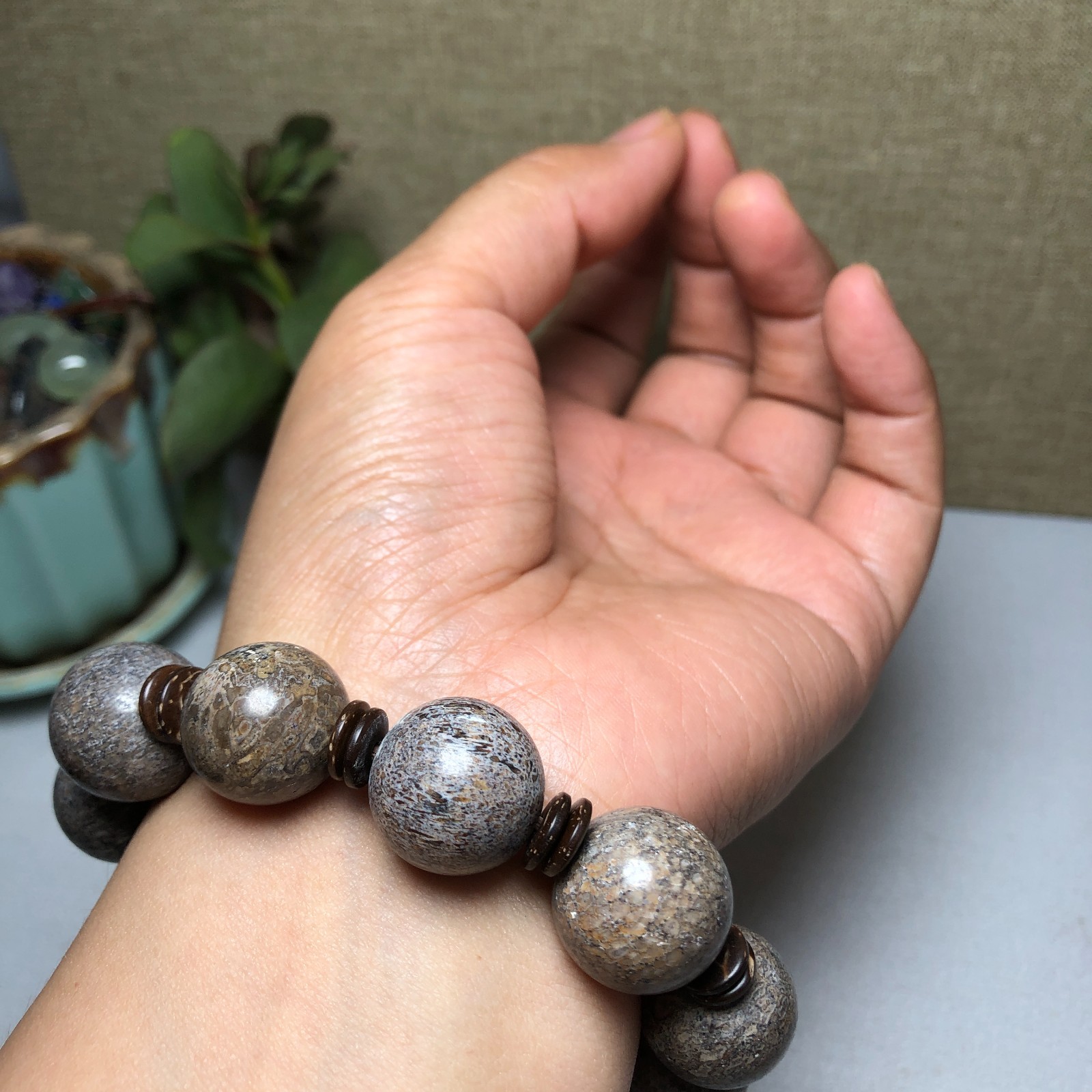 Top! Natural polished dinosaur bone bracelets specimen Madagascar 17-18mm A1003