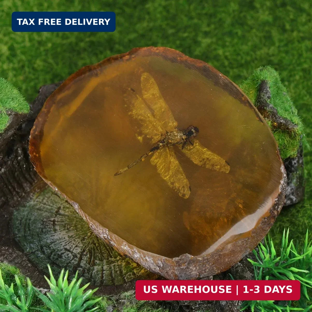 Garneck Amber Specimen Pendant with Insect Inside Unique Resin Ornament for Scie