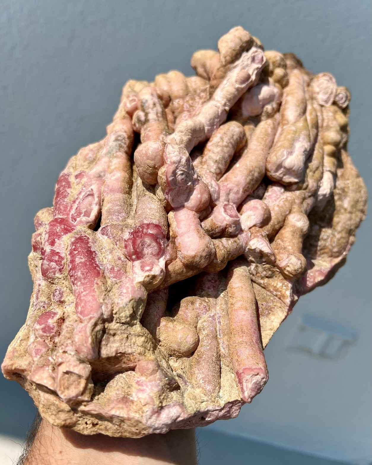 6.8 Pound: Rhodochrosite Stalactite Cluster Massive Ortiz, Capillitas, Argentina