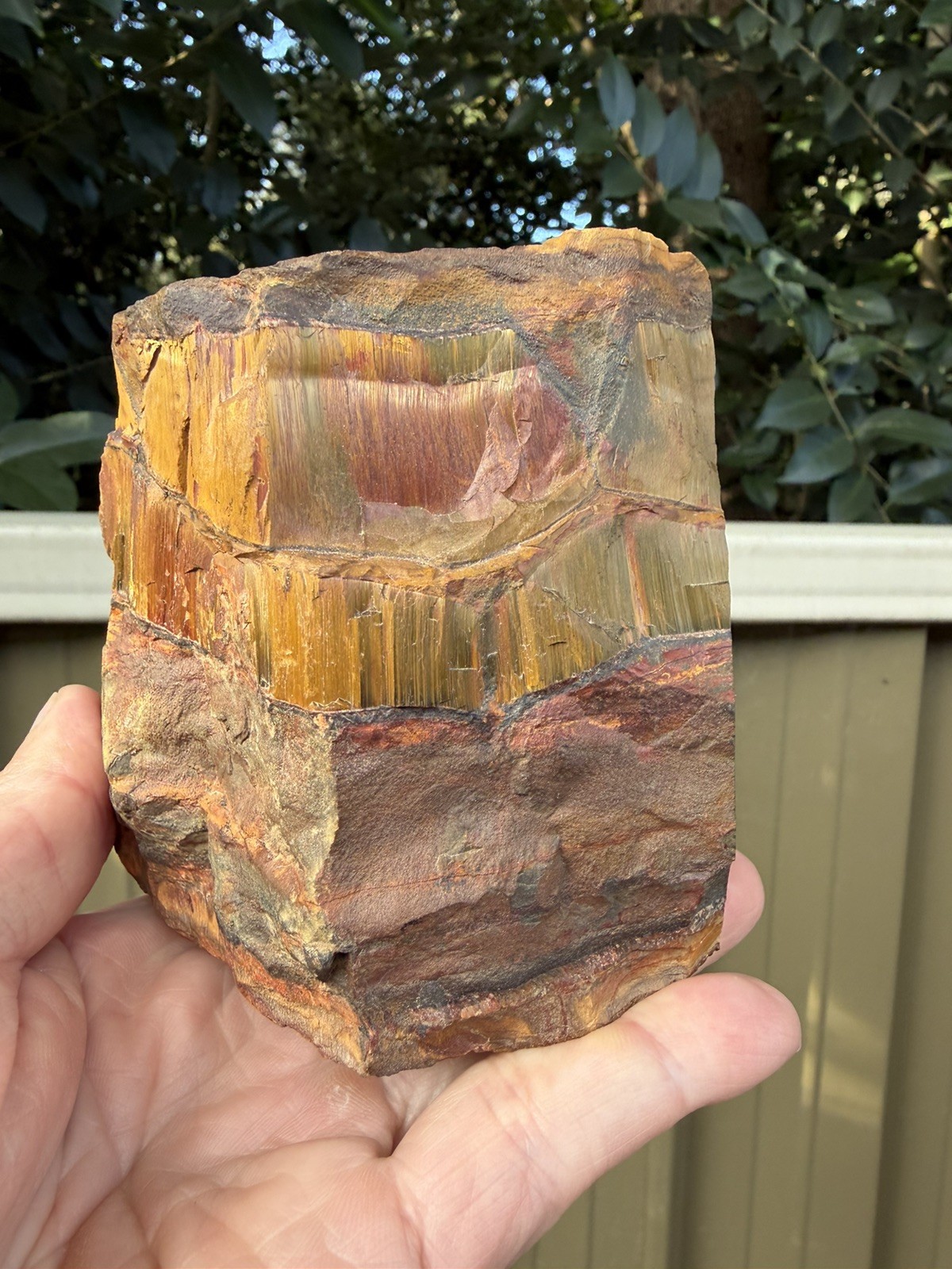 Aussie Tiger Eye – Mara Mamba W.A Polished back End Cut Slice 784g Nice