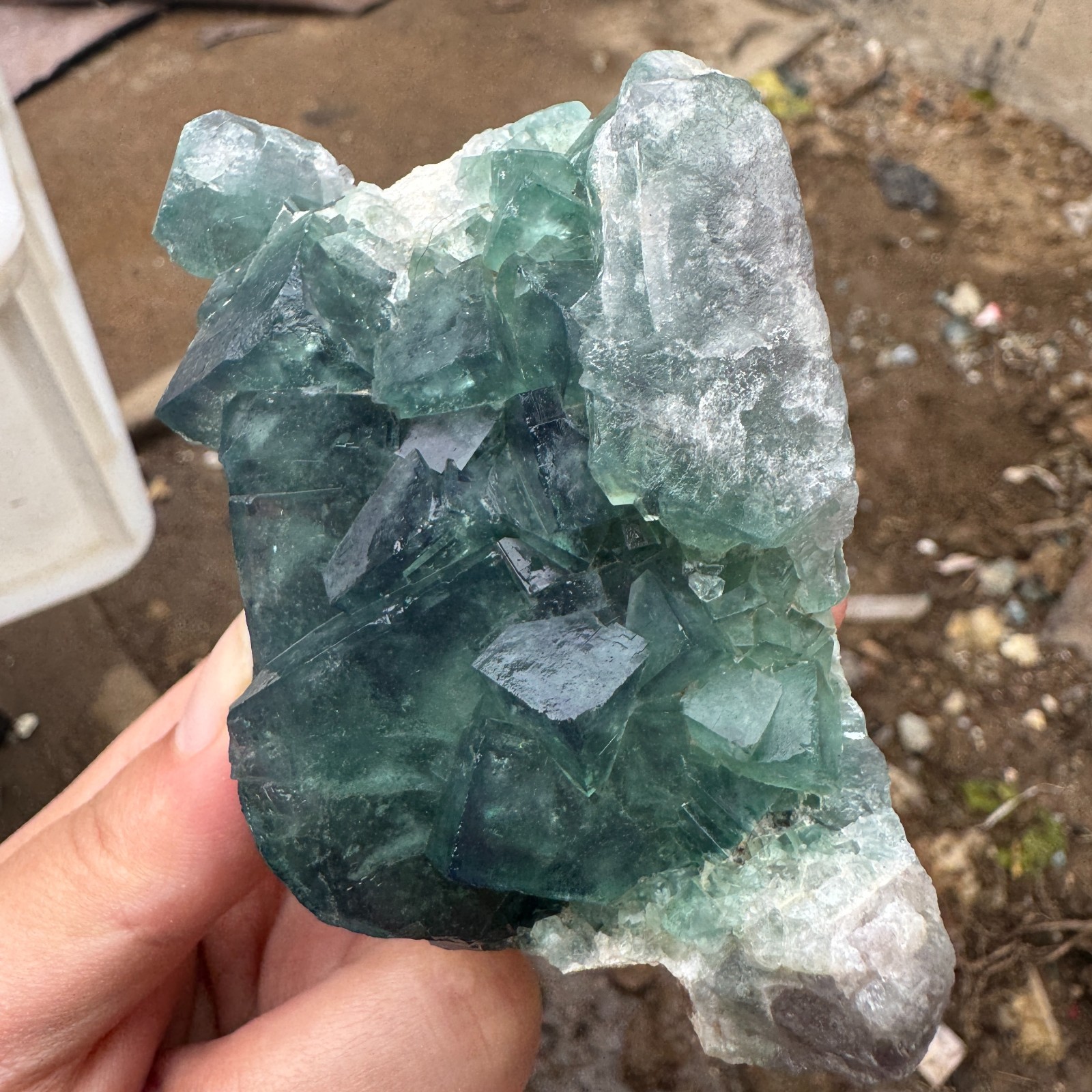 240G Natural cubic green fluorite crystal cluster rough mineral specimen Healing