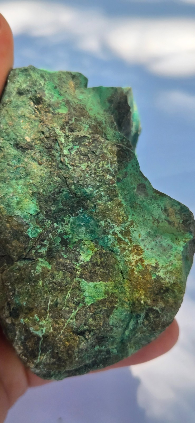 Large 880 Grs Old Chrysocolla Specimen Arizona USA Dark Green Blue Chalky Matrix