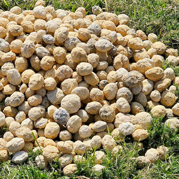 Quartz Geodes – Break Your Own Geode – Unbroken Quartz Crystal