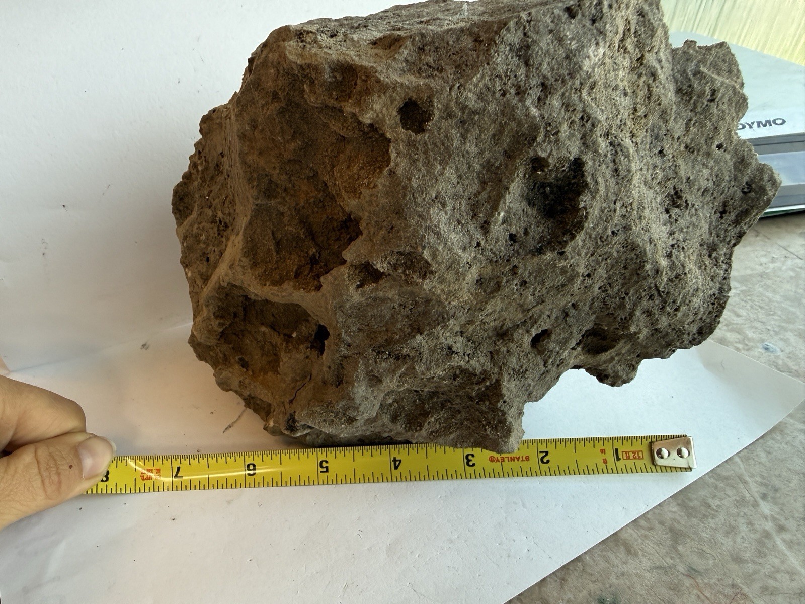 Huge 6 lb Herkimer Diamond Quartz Crystal in Matrix Specimen 6″ Tall NY Mineral