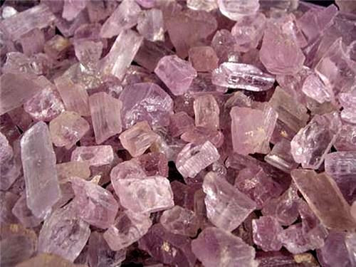 Kunzite pink Afghanistan mixed gem grade natural 2 ounce lot 10 plus pieces