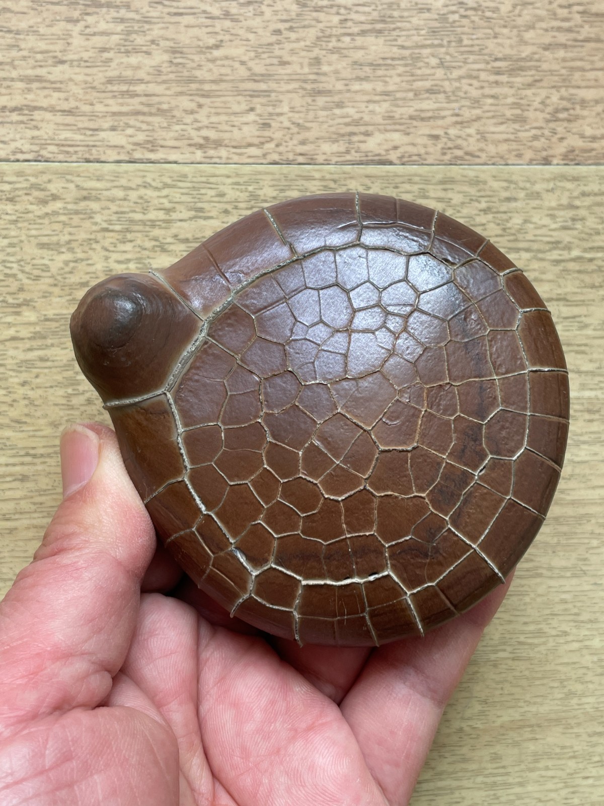 412g beautiful Natural tortoise back pattern stone Moire stone Landscape stone
