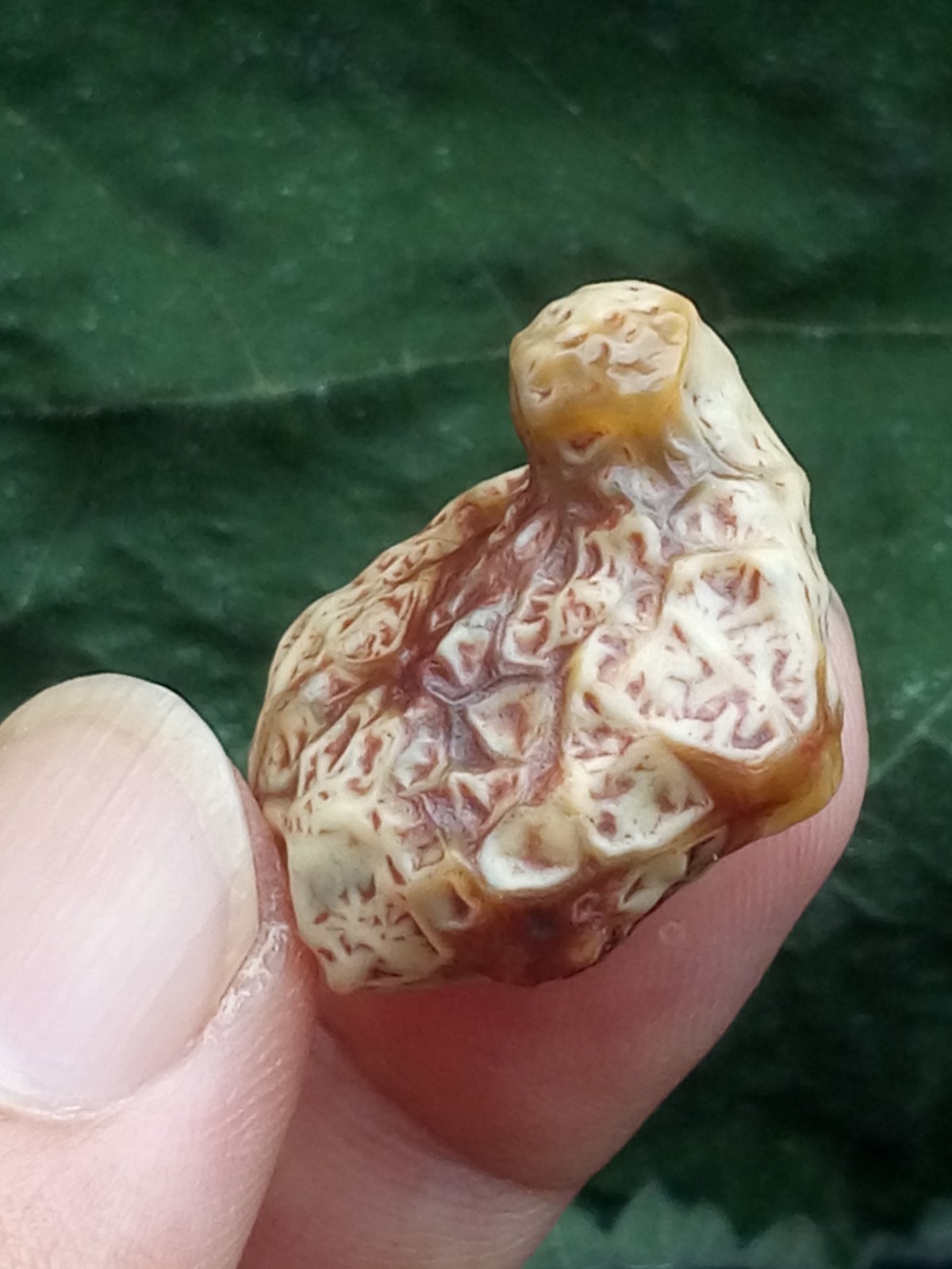 26mm Beautiful Natural GoBi agate veins agate collection