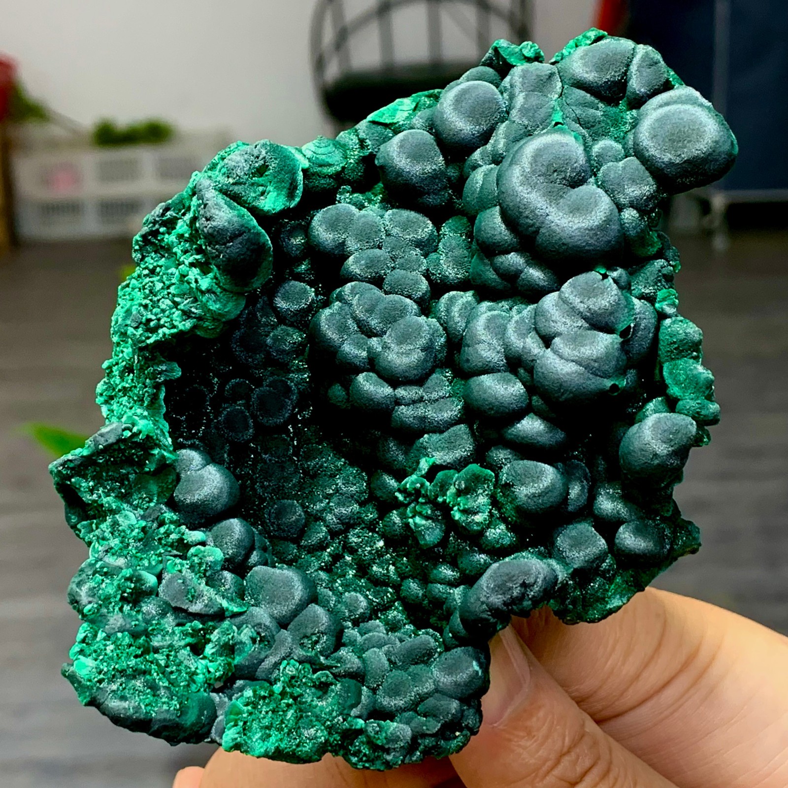 205g Natural glossy malachite cat eye transparent cluster rough mineral Sample