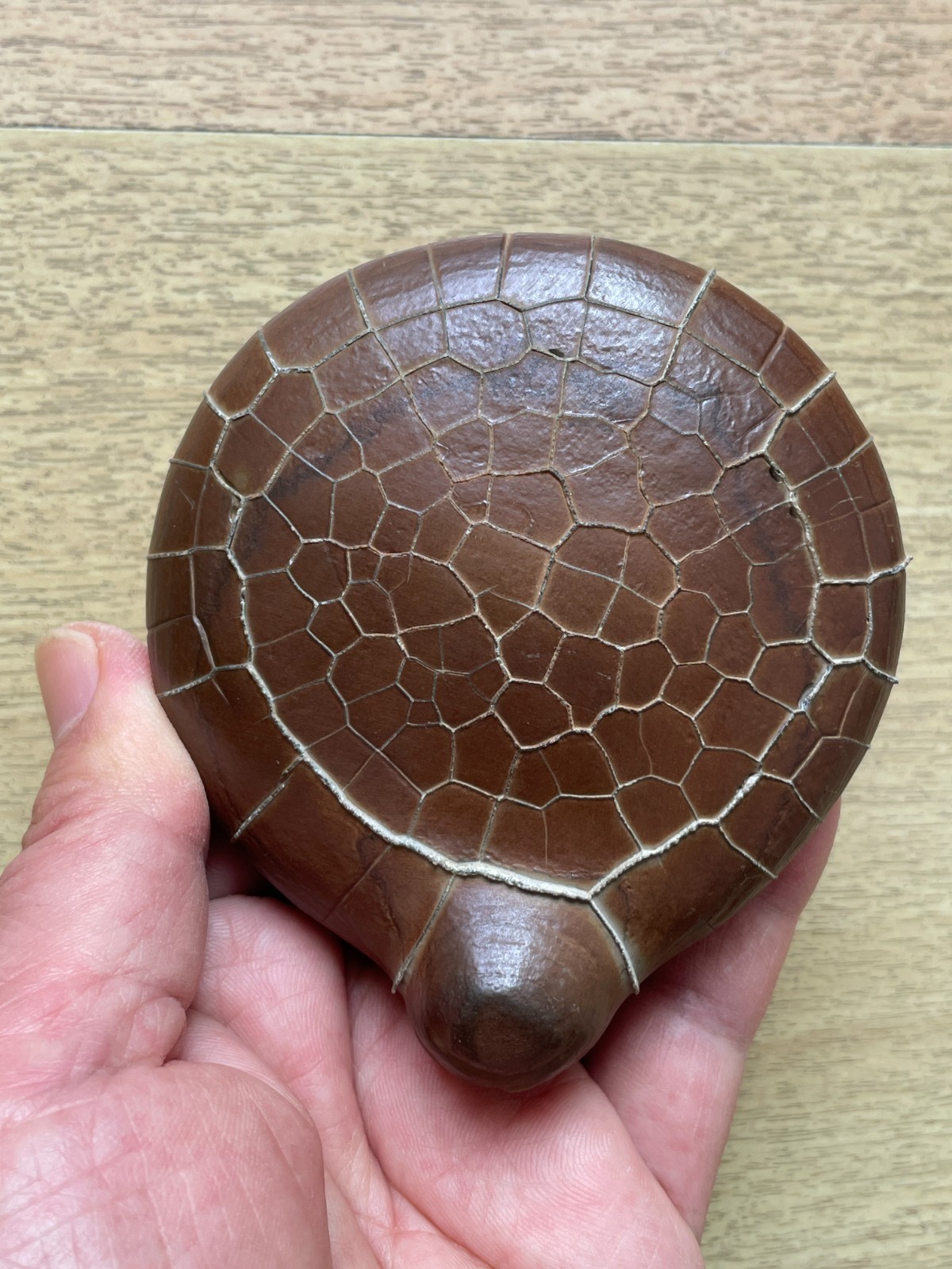 412g beautiful Natural tortoise back pattern stone Moire stone Landscape stone