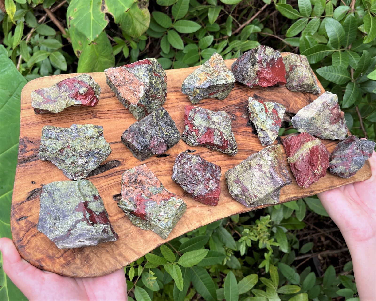 Dragons Blood Jasper Rough Natural Stones Wholesale lots – Dragons Blood Crystal
