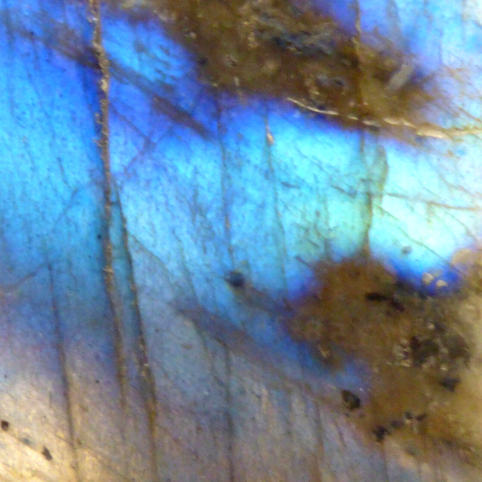 Labradorite Slice Blue Flash Iridescent Lustre Semi Polished Piece 5.5cm 40g
