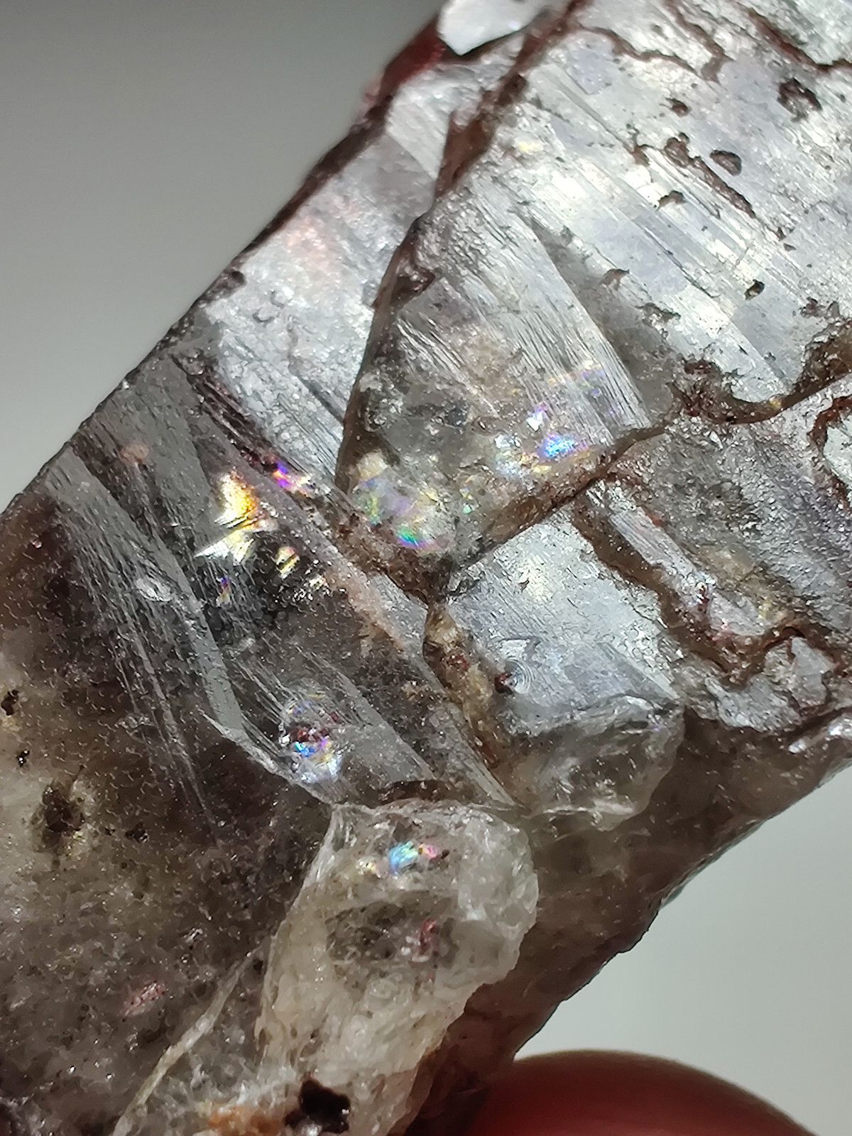 Quartz crystal with Hematite, terminated. Minas Gerais, Brazil. 5 cm.