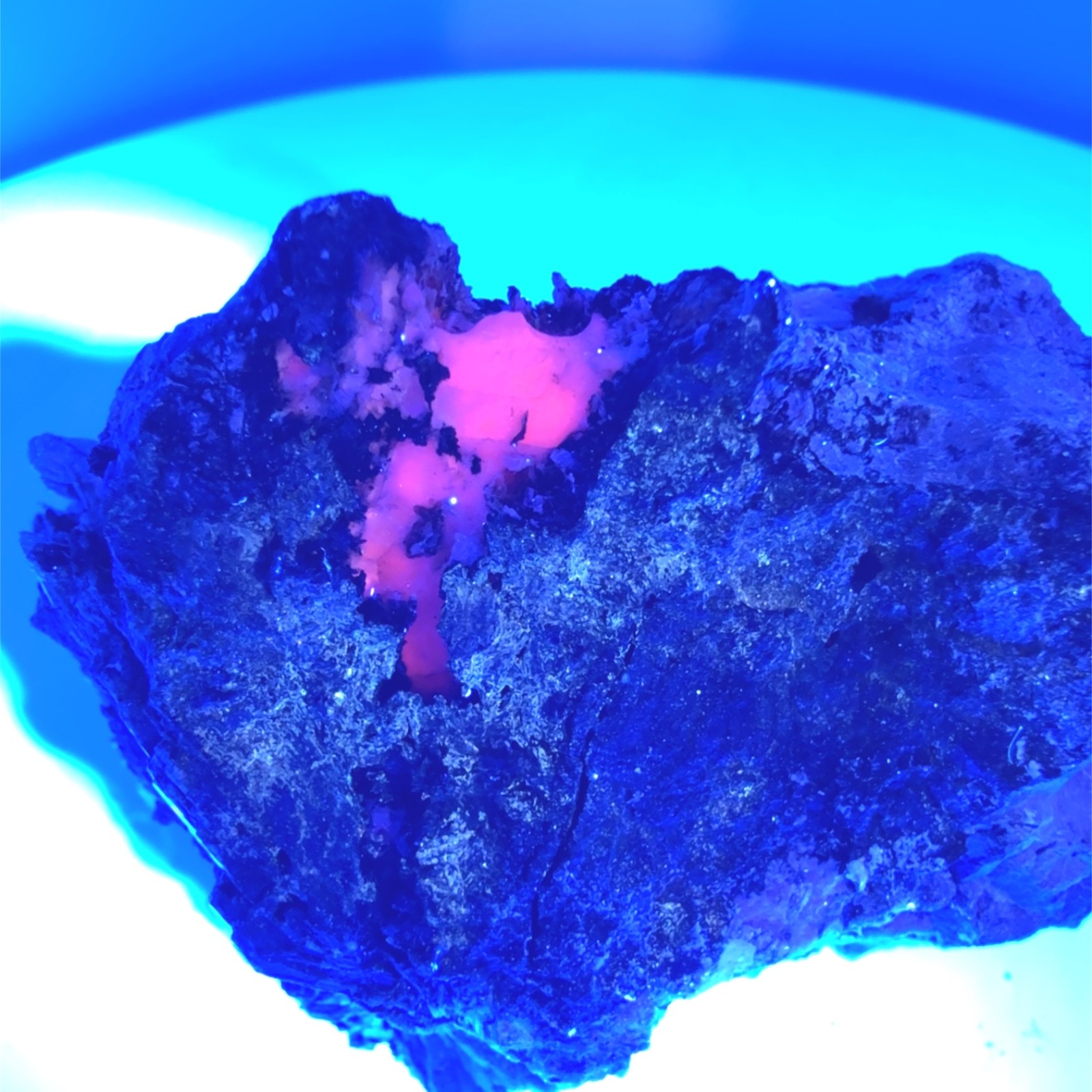 INESITE IN MATRIX FROM HALE CREEK MINE, CALIFORNIA, USA – MINIATURE, 117g