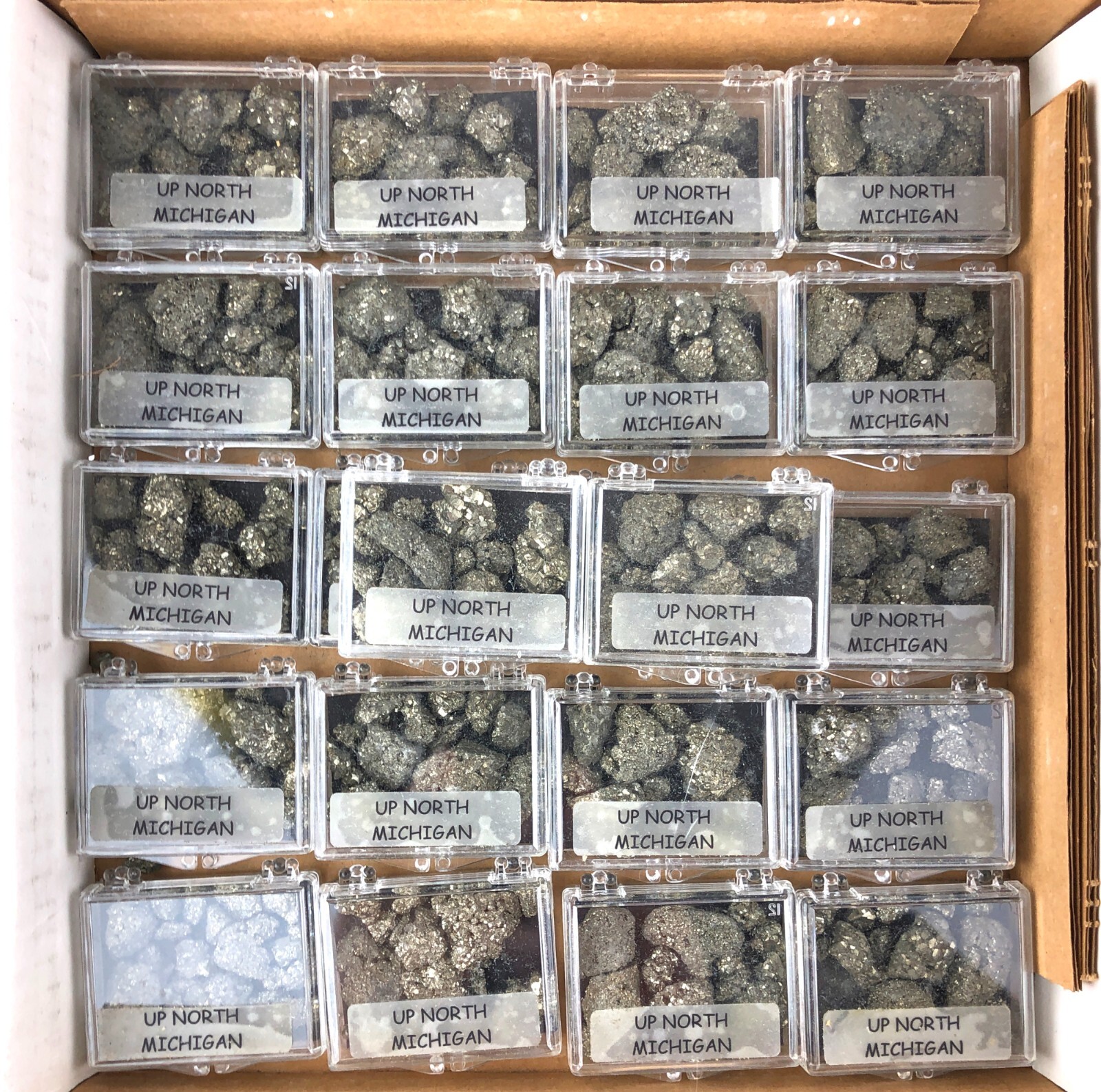 Retail Display Box North Michigan Pyrite Fool’s Gold 22 Clear Clamshell Boxes