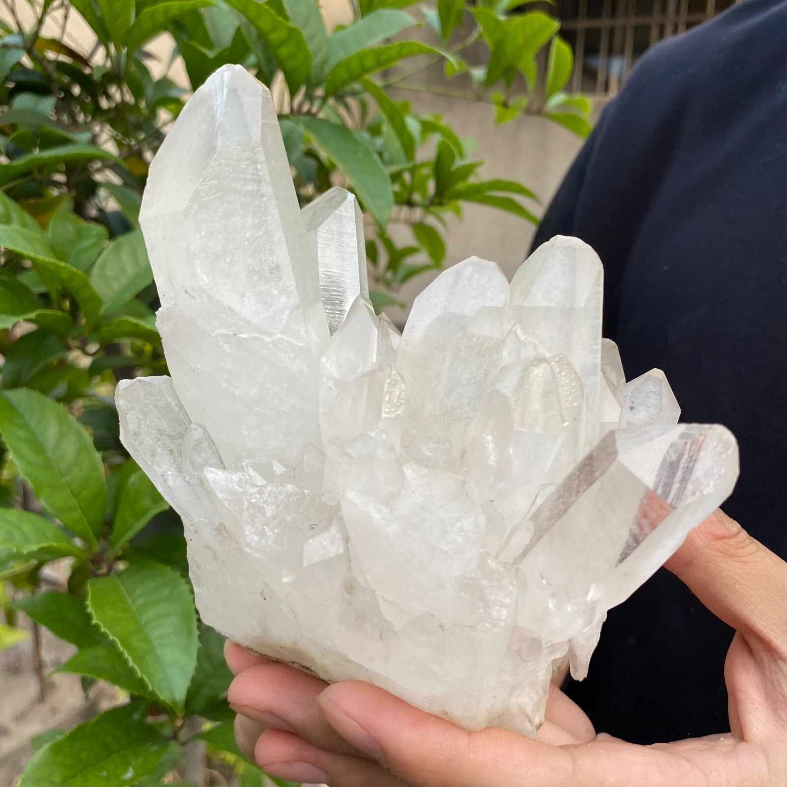 2.4lb Natural Clear White quart Crystal Cluster Raw Healing Specimen