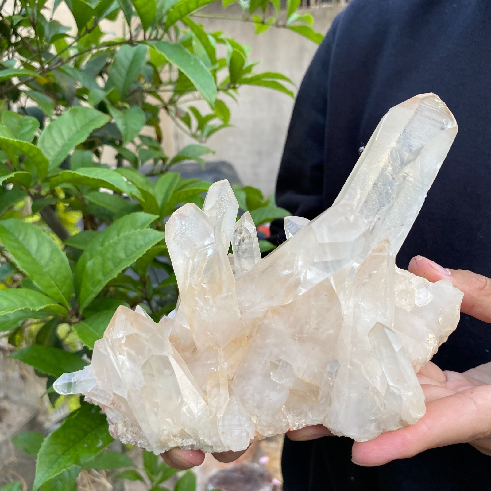 2lb Natural Clear White quart Crystal Cluster Raw Healing Specimen