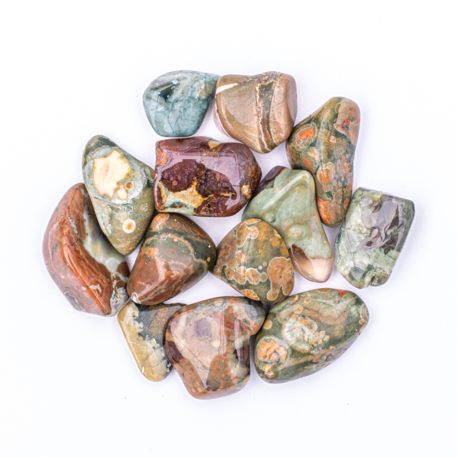 25 Grams Tumbled Rainforest Rhyolite Jasper Gemstone Crystals 10-25 Stones Bulk