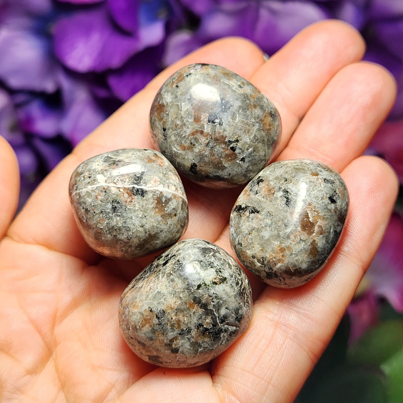2 Pcs Natural Yooperlite Tumbled Polished Flame Stone UV Reactive Fire Stone