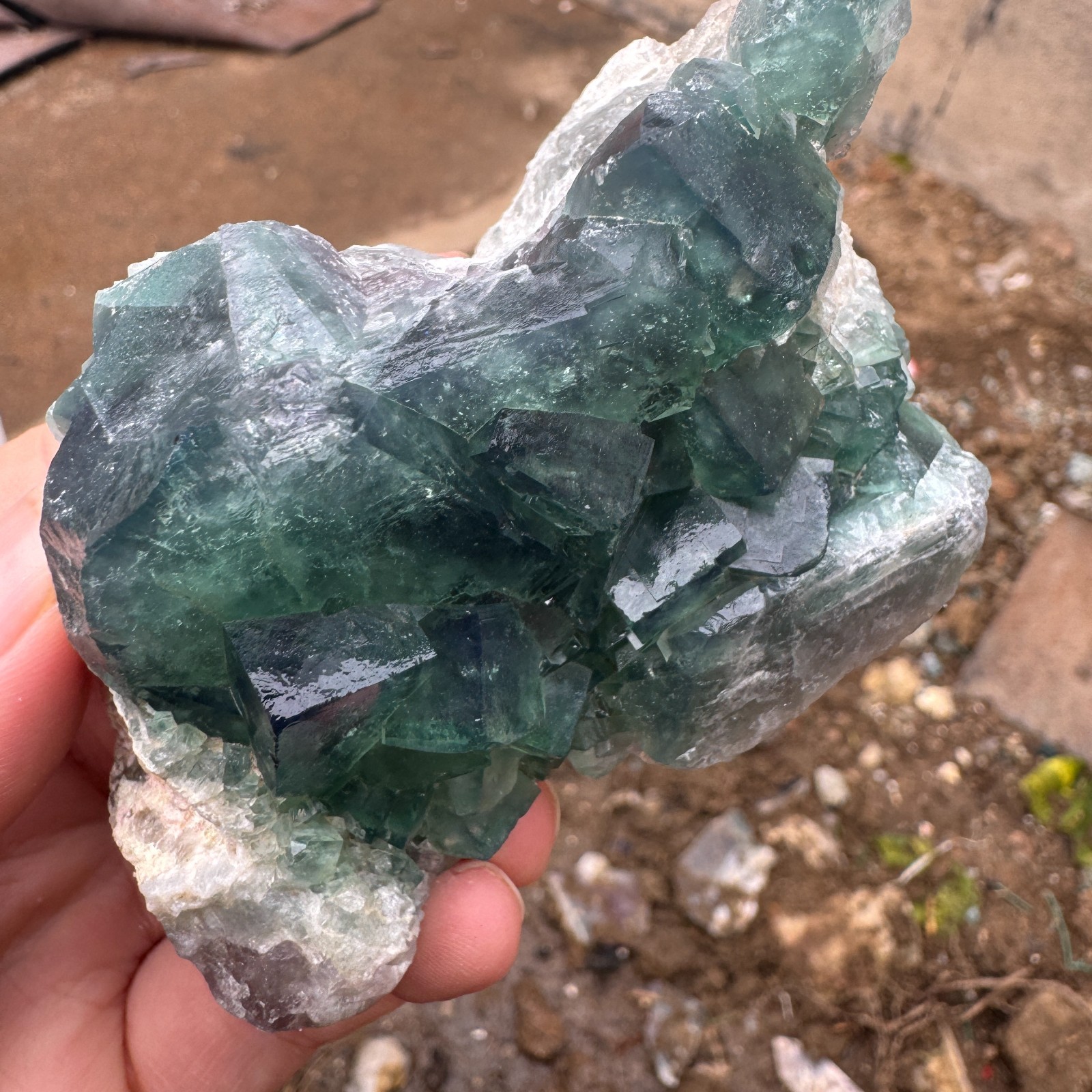 240G Natural cubic green fluorite crystal cluster rough mineral specimen Healing