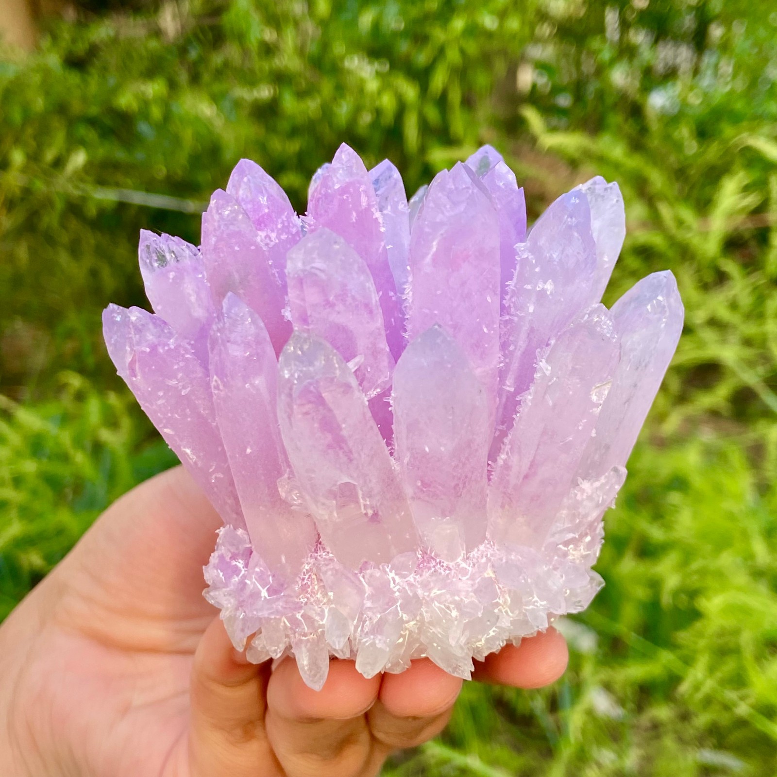 416G New Find PURPLE Phantom Cluster MineralSpecimen