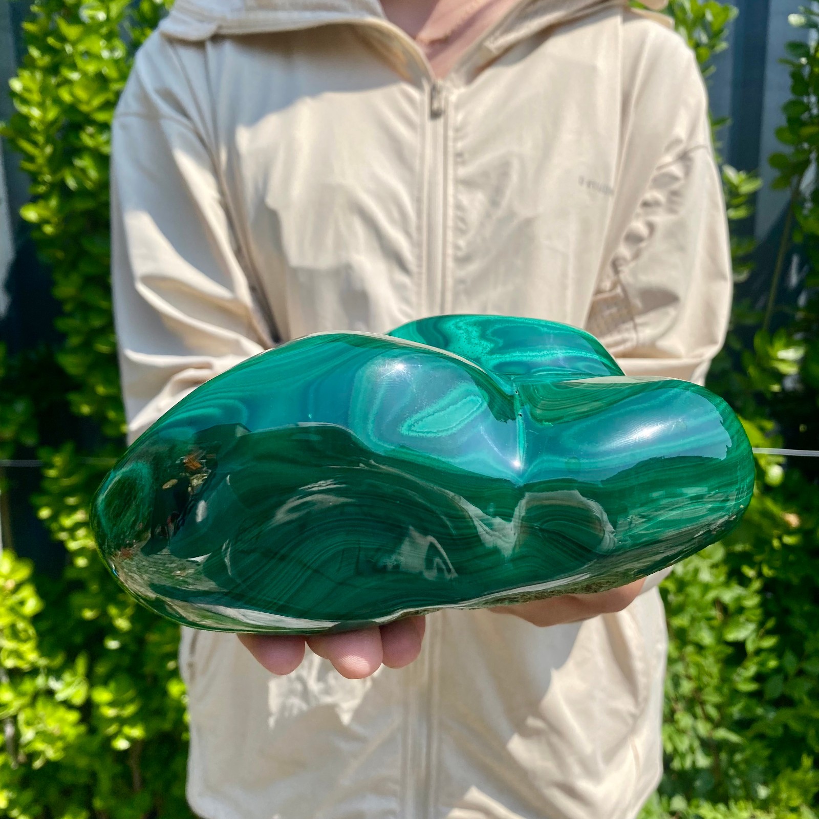 5.29LB Natural glossy Malachite transparent cluster rough mineral sample