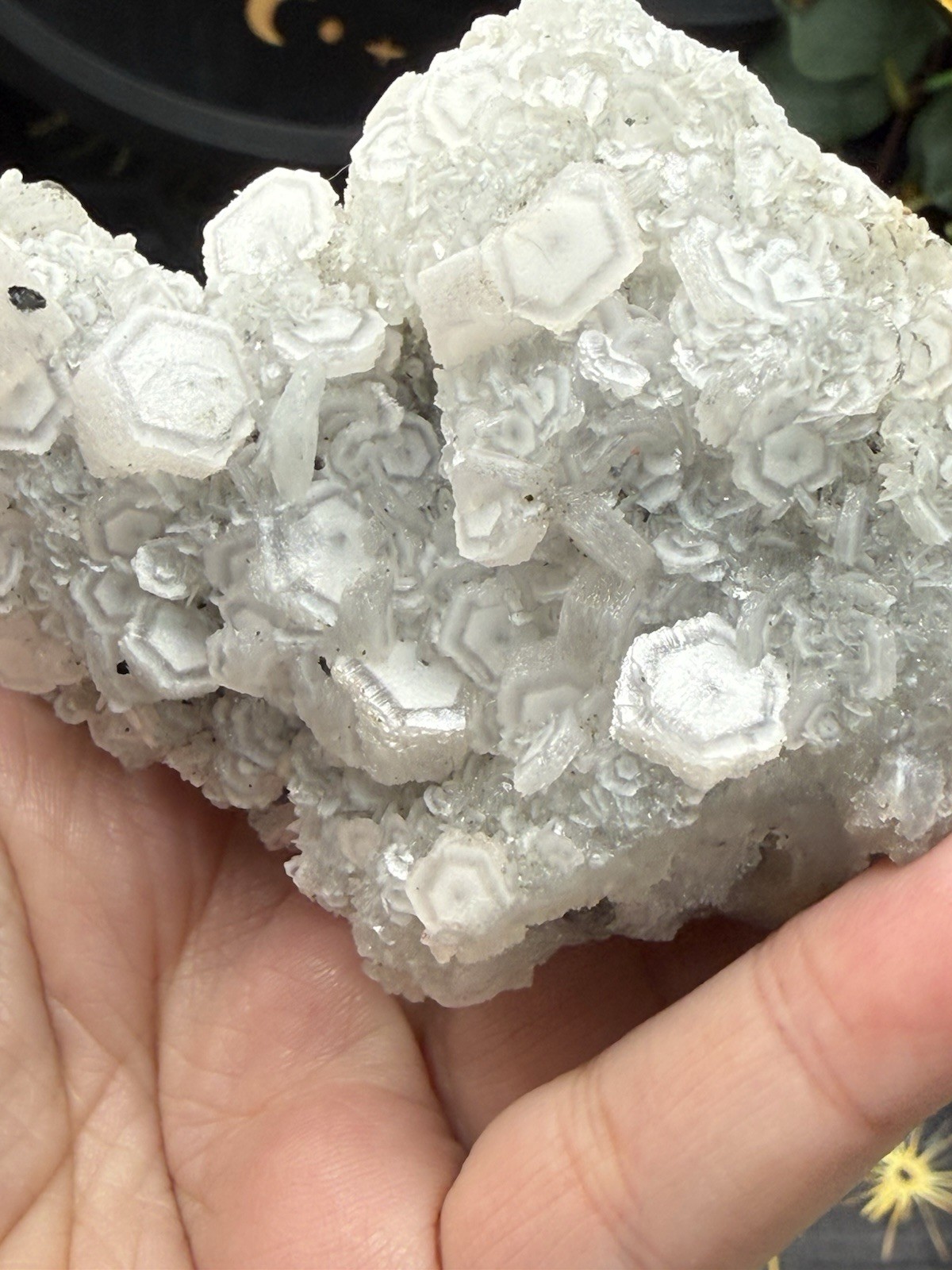 Natural Coin Calcite w/ green fluorite Specimen Uvreactive Free shipping