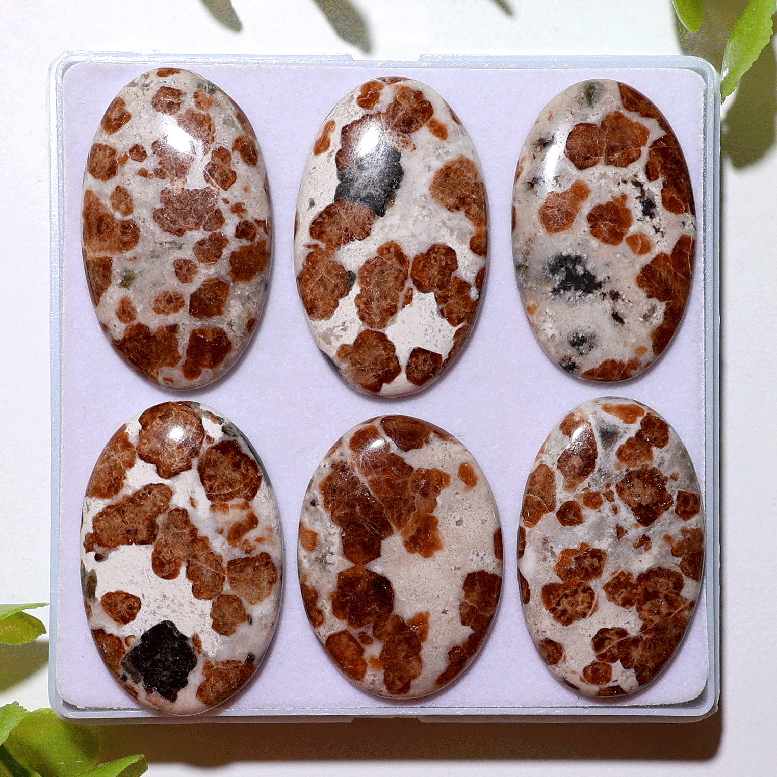 Fiery Blossoms – 6 PC Garnet In Wollastonite Crystals Set – Vitality & Strength