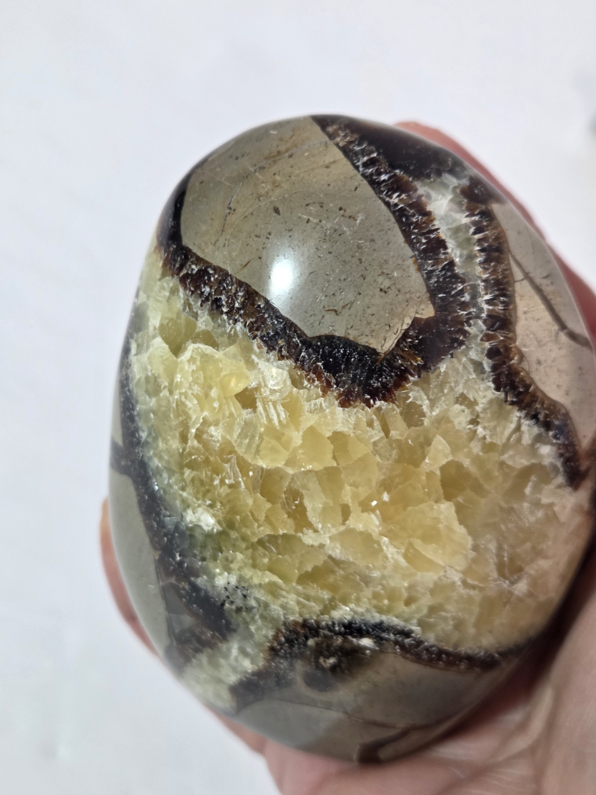 Septarian Polished Egg Prime Specimen Crystal Stone Mineral 8.61 Grams