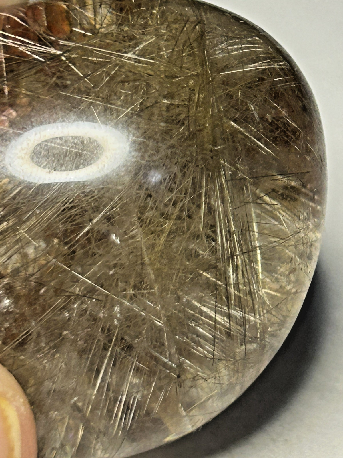 Clear Garden Quartz Lens With Gold Rutile Tree 48g/38.6mm x 30.8mm x 19.6mm