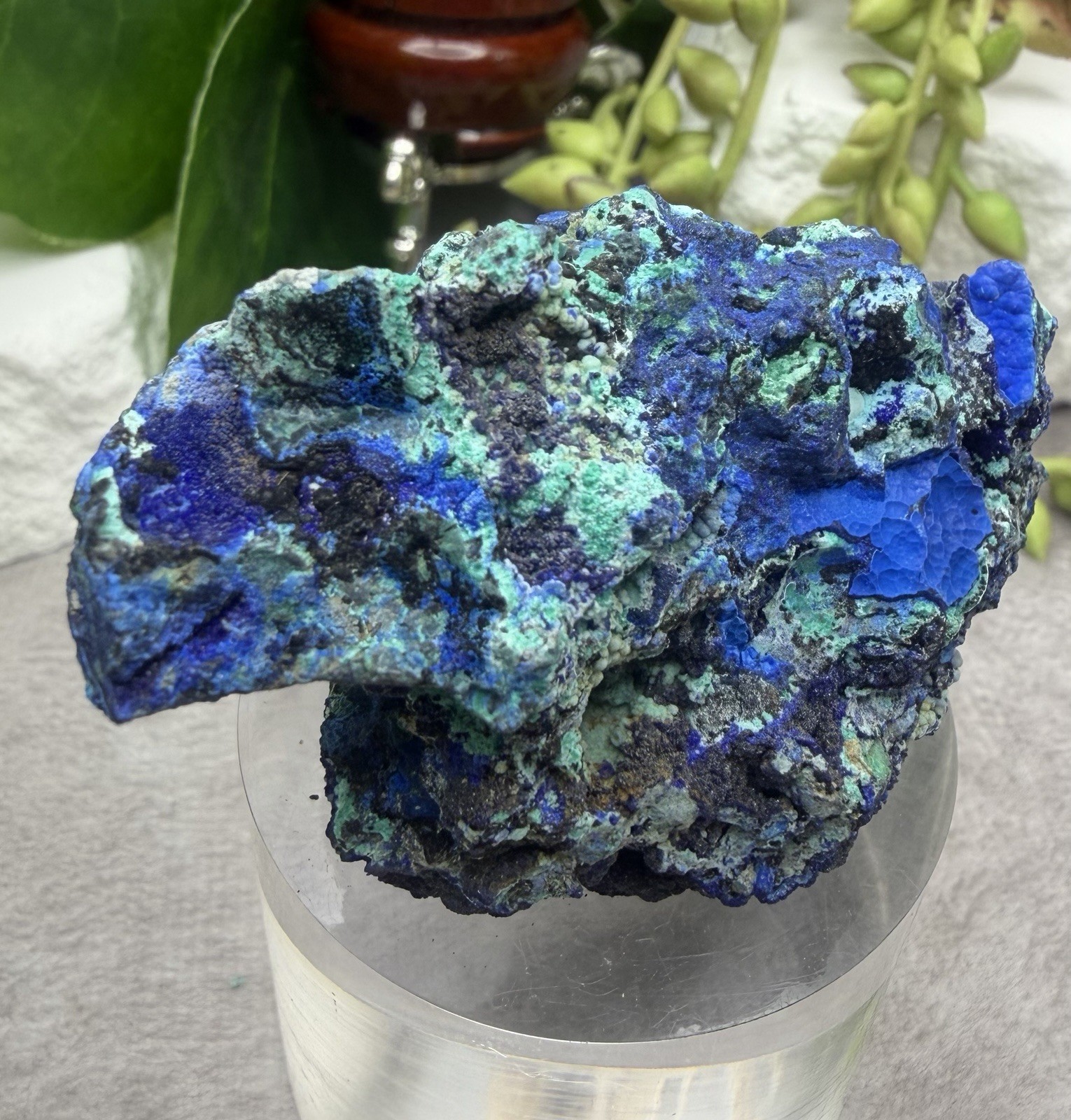Crystal 76g Azurite & Malachite Cluster Specimen Mineral Raw Druzy Sparkle