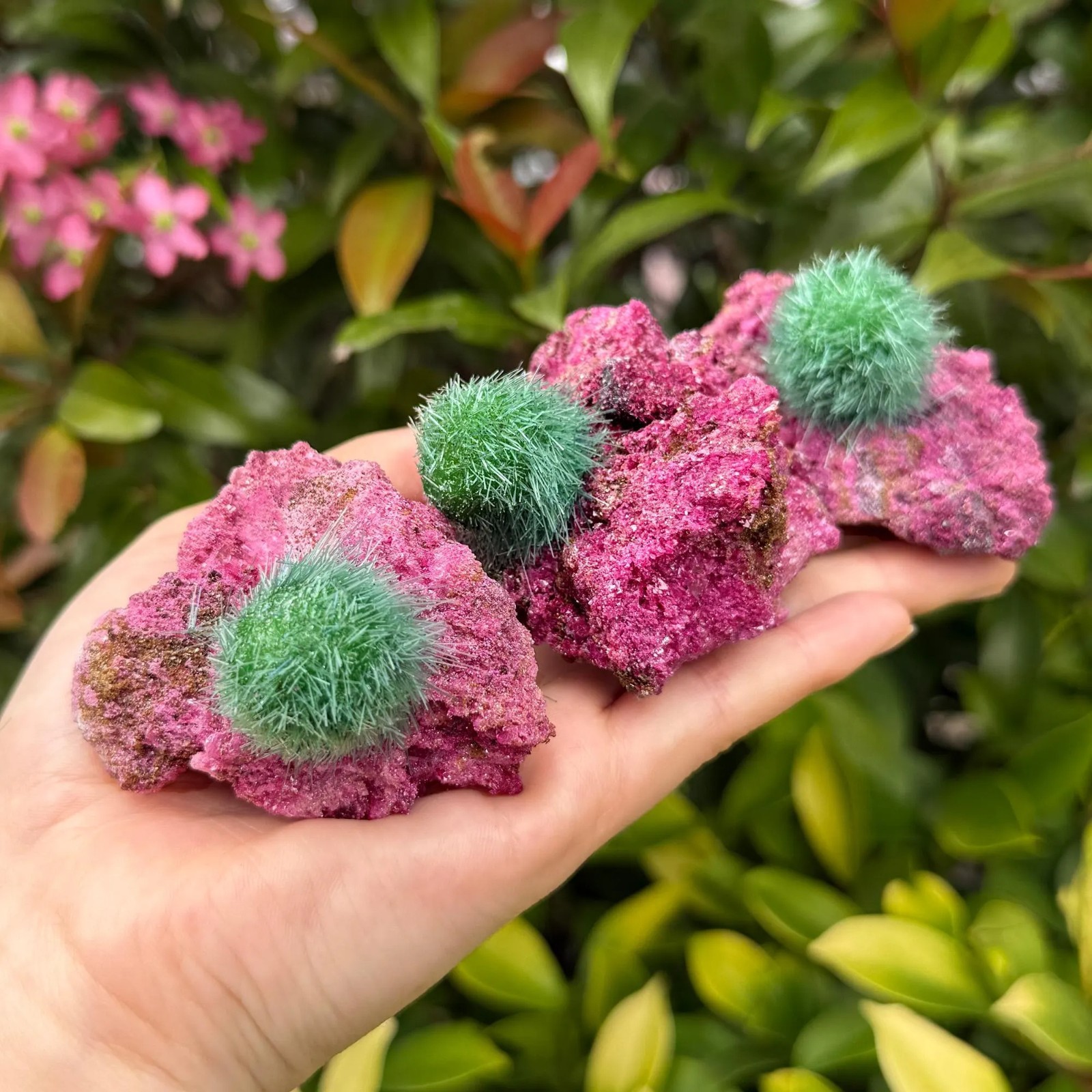 Wholesale Special Ruby Quartz Crystal Mineral Rock Specimen Ideal for Decor