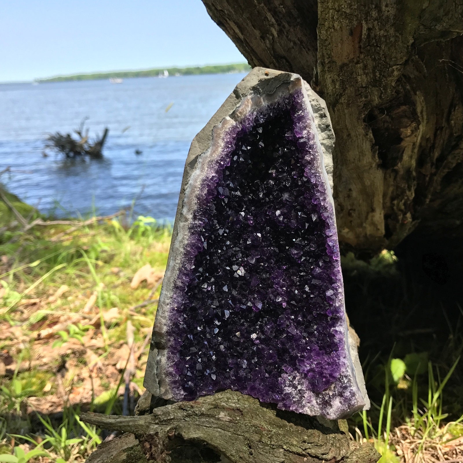 Amethyst Druze Crystal Cluster With Cut Base ~ EXTRA LARGE Size Specimen ~ 2 Lbs