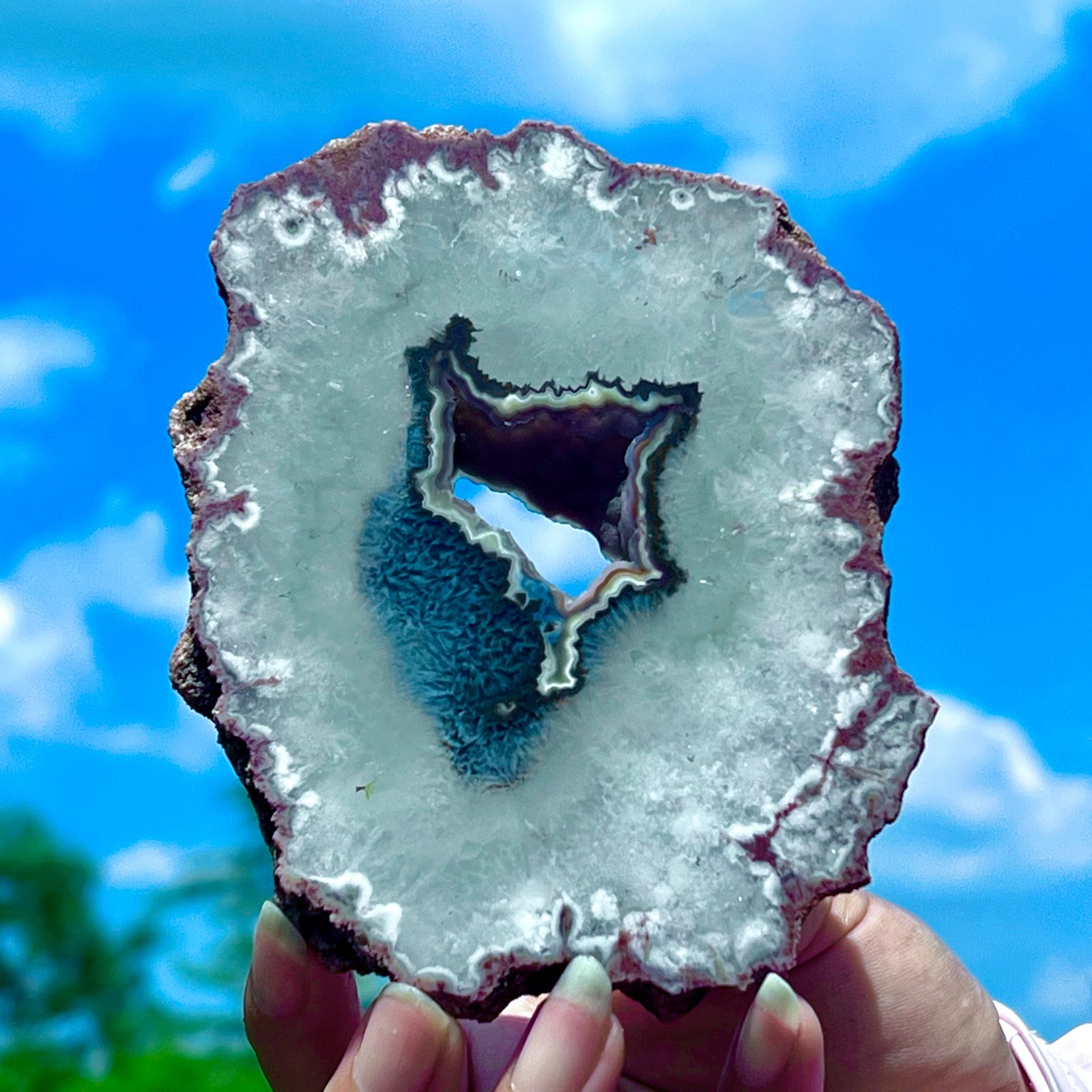 212G Natural Colorful Lace Agate Geode Slice Extra Large Gem From Argentina