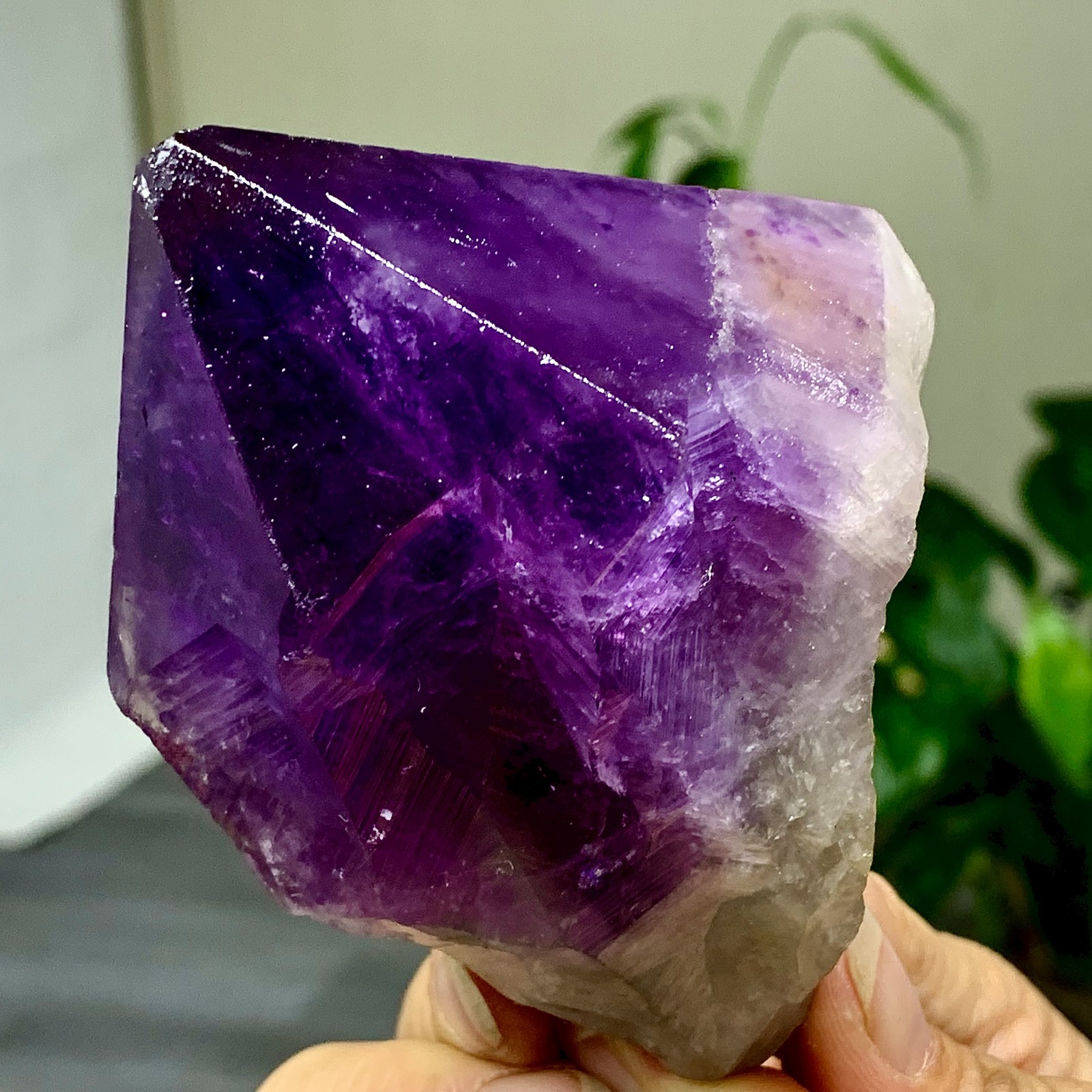 323G Natural Amethyst Quartz Crystal Single-End Terminated Wand Point Healing