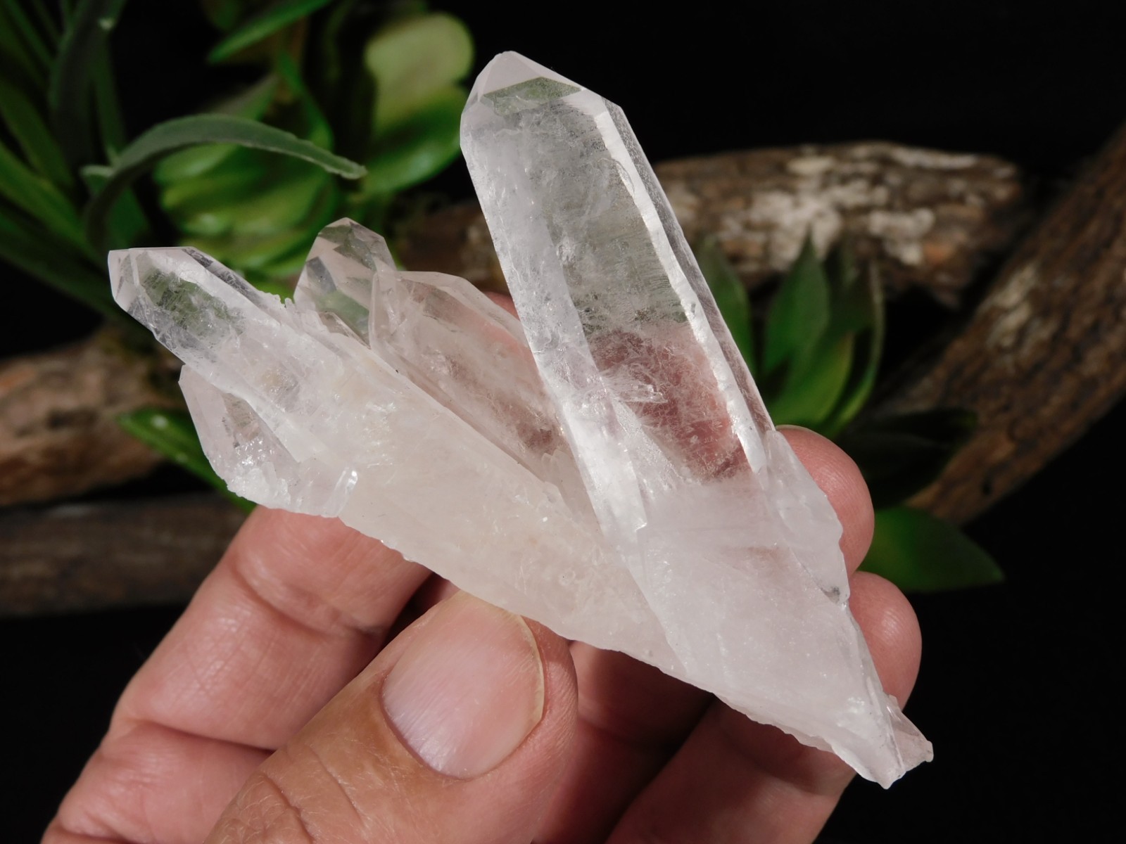 Four Points! Translucent! QUARTZ Crystal Cluster 100% Natural Brazil 70.1gr