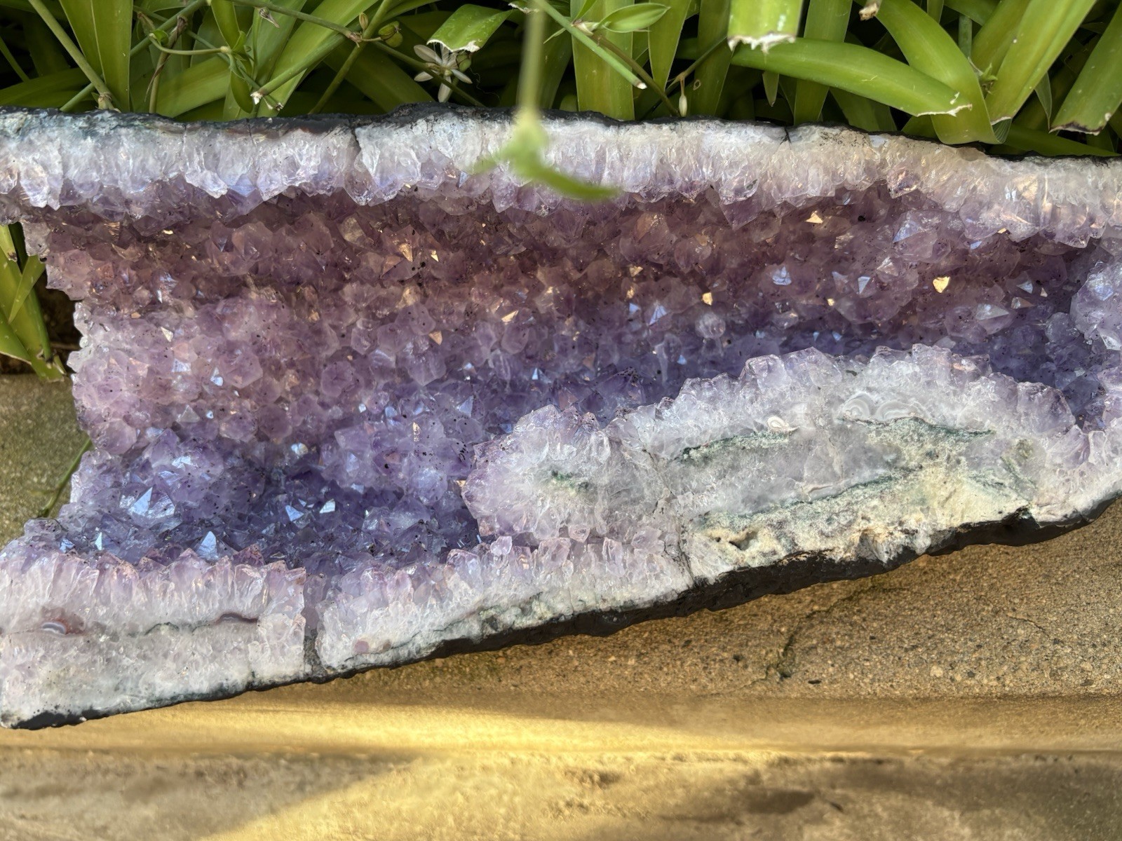 Large Natural Amethyst Crystal Geode Cluster Uruguay/Brazil Origin